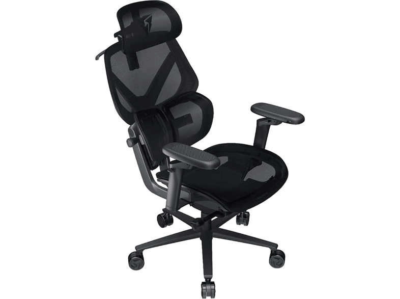 THUNDERX3 FLEX Pro Bürostuhl