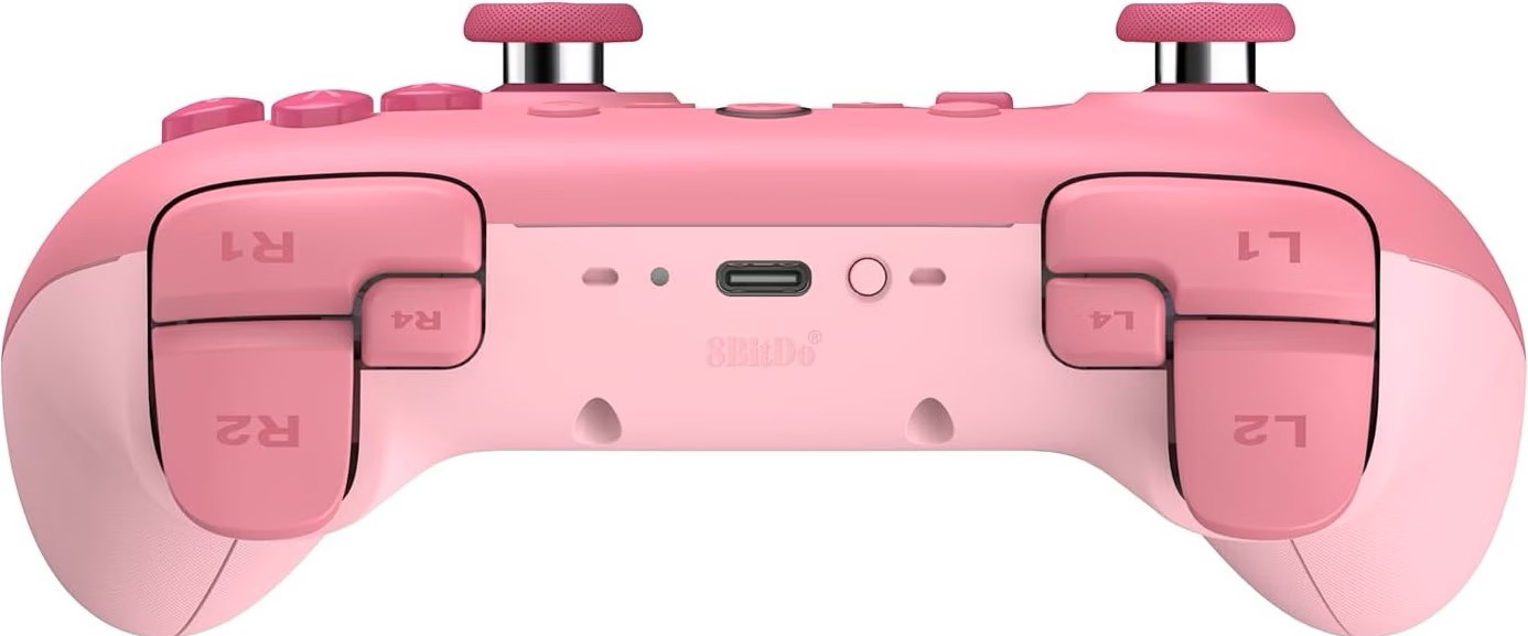 Rückseite eines pinken 8BitDo-Gamepads mit USB-C-Anschluss, Schultertasten und analogen Sticks.