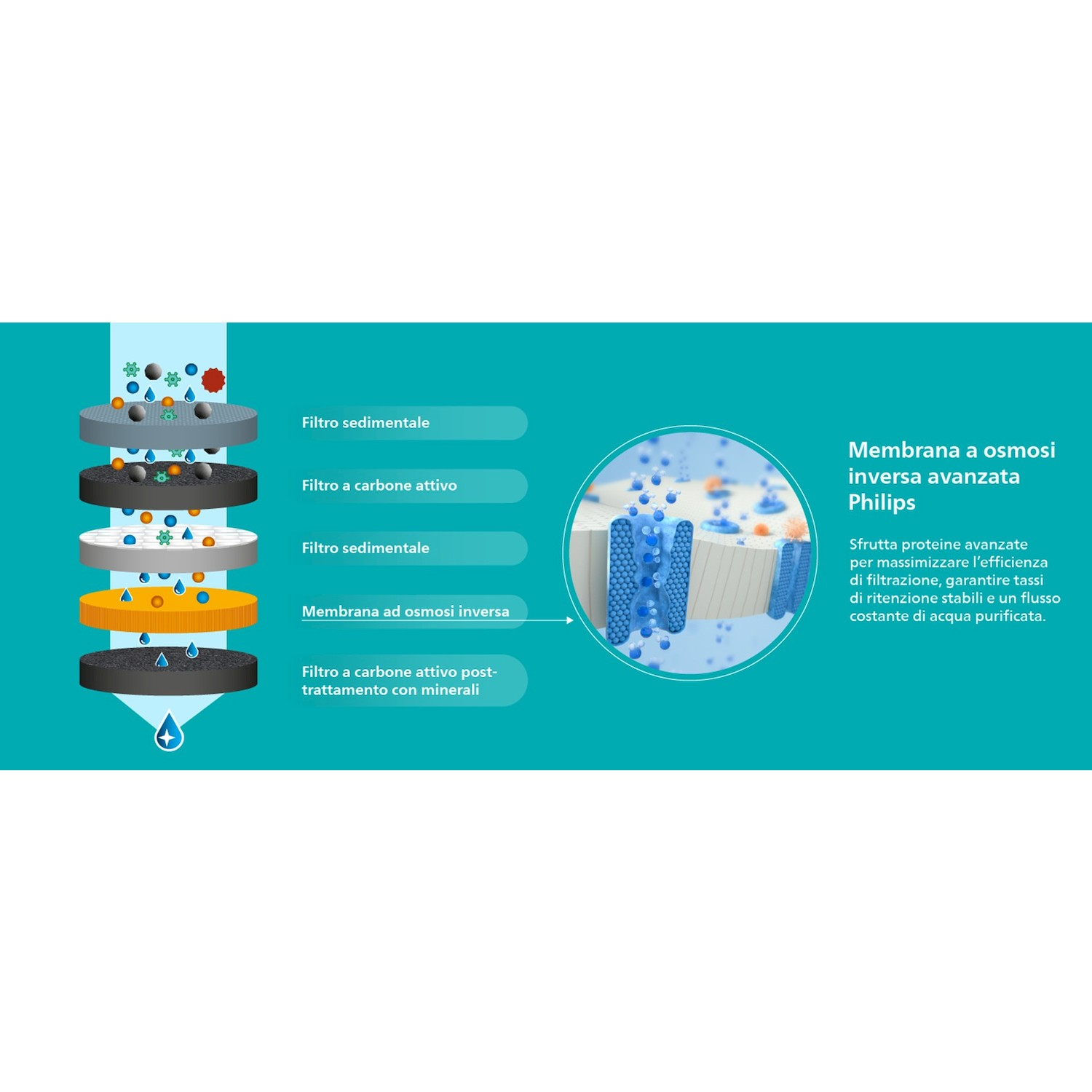 Diagramma con cinque stadi di filtrazione e membrana a osmosi inversa Philips con gocce d'acqua e testo.