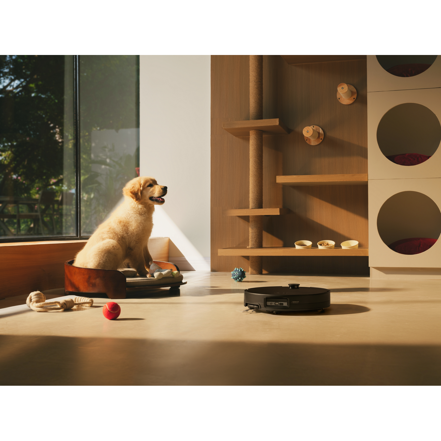 Un chiot doré est assis dans son panier sur un sol clair, tandis qu'un robot aspirateur se trouve à proximité.