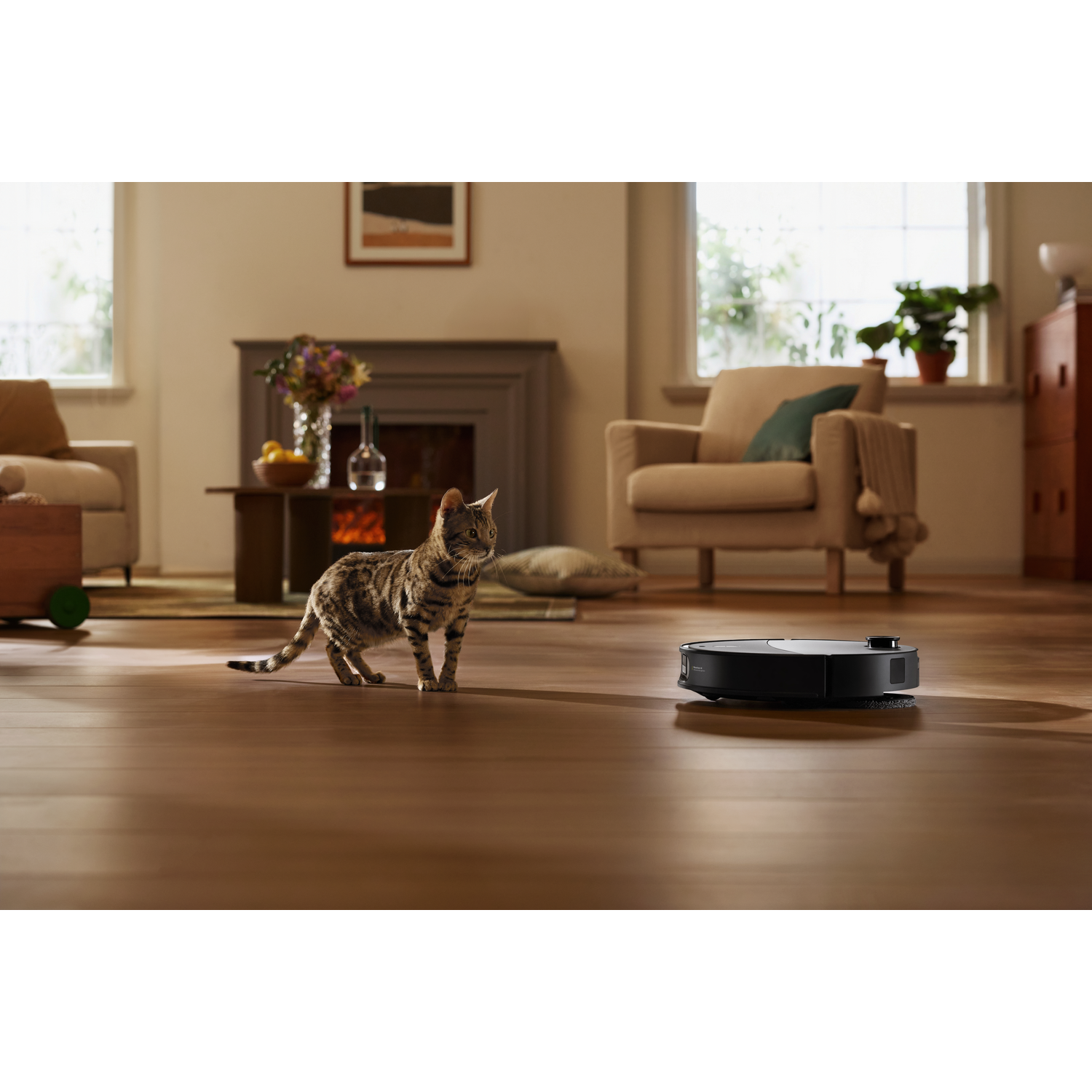 Un chat tigré se tient sur un parquet près d'un aspirateur robot dans un salon lumineux et chaleureux.