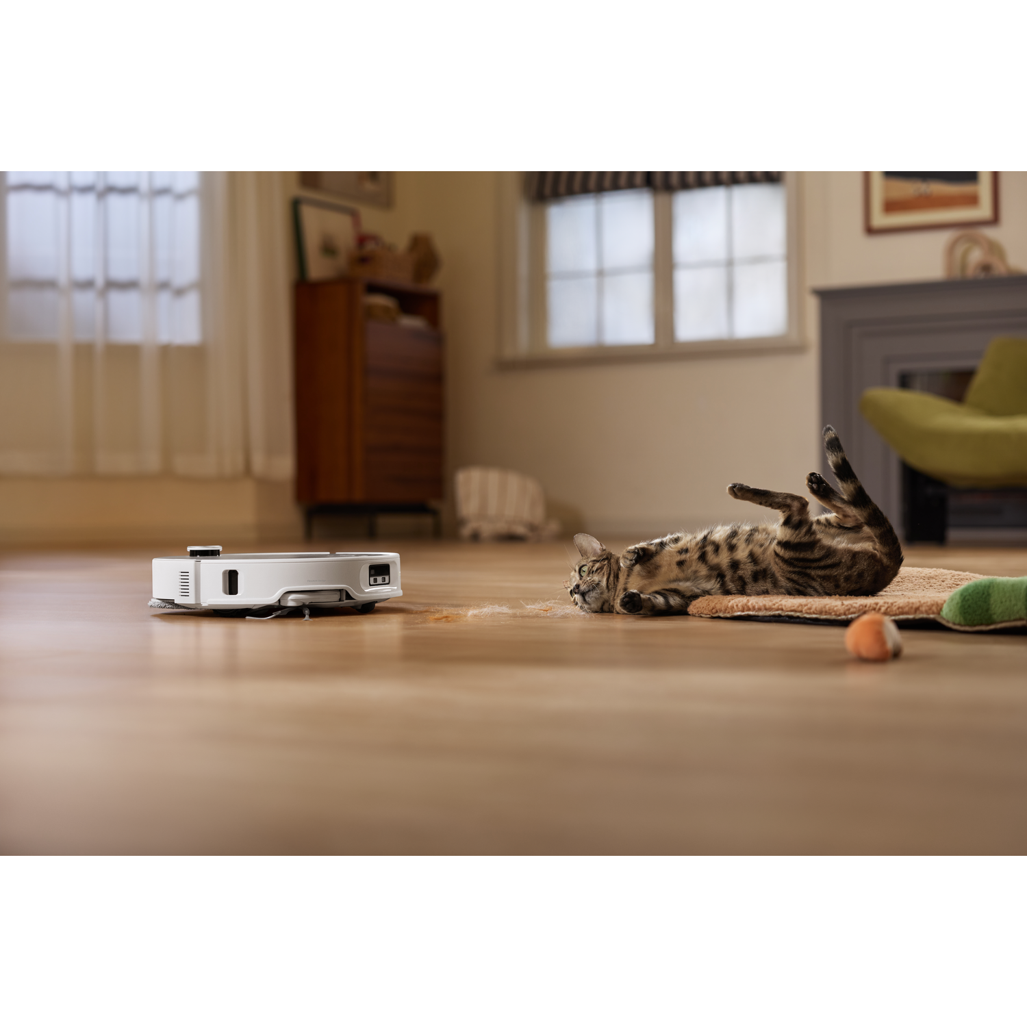 Un robot aspirateur nettoie un sol en bois près d'un chat allongé sur le dos.
