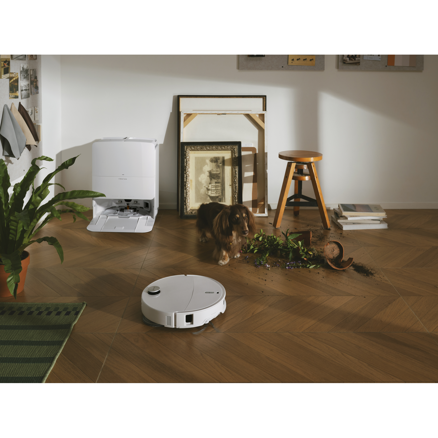 Un robot aspirateur nettoie un sol en bois près d'un teckel, d'une plante cassée et d'une station.