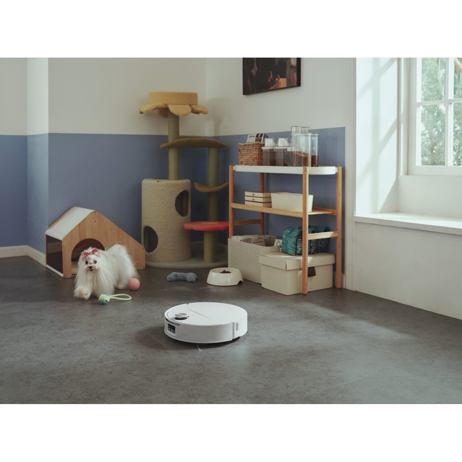 Un robot aspirateur blanc nettoie le sol d'une pièce avec un chien, un arbre à chat et une étagère.