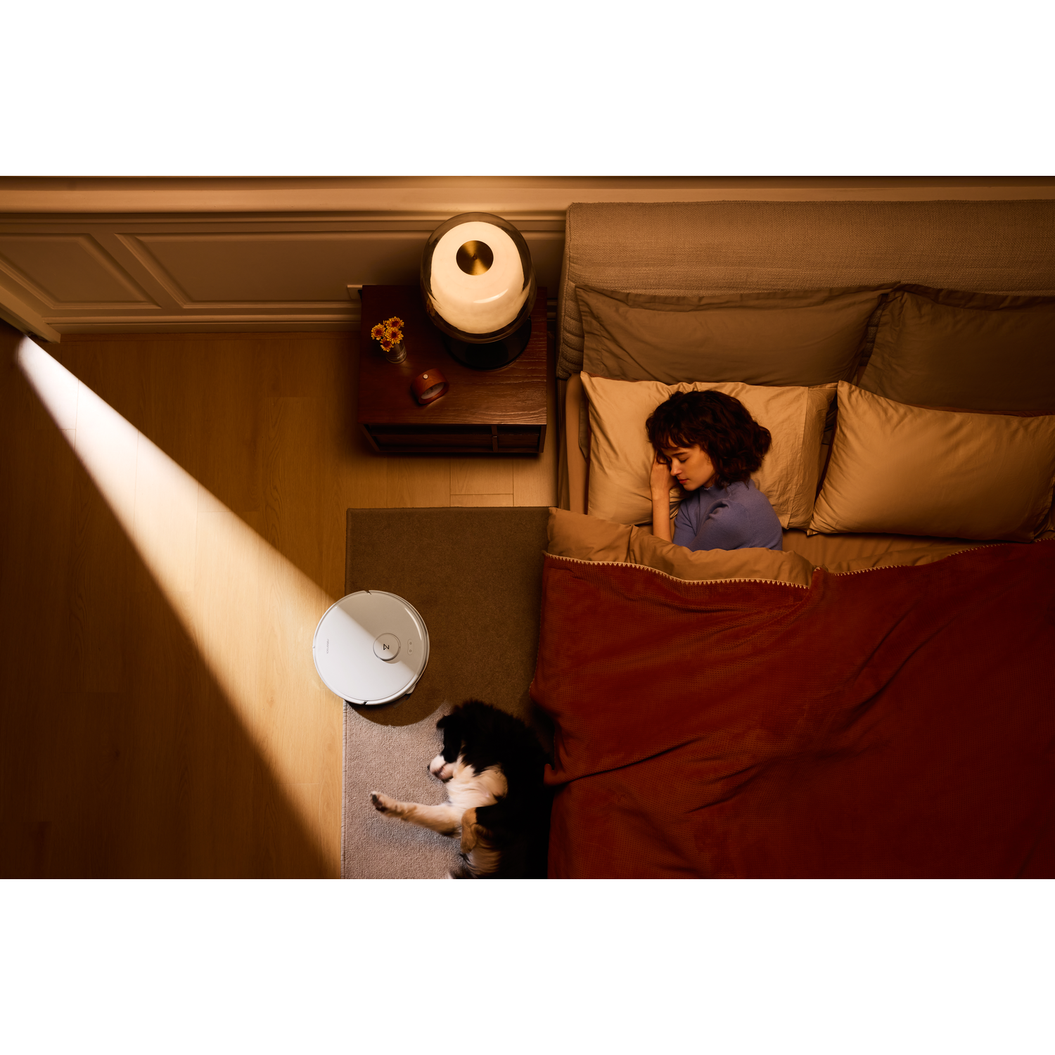 Une femme dort dans un lit, un chien se repose sur le sol et un robot aspirateur se tient près d'un rayon de lumière.