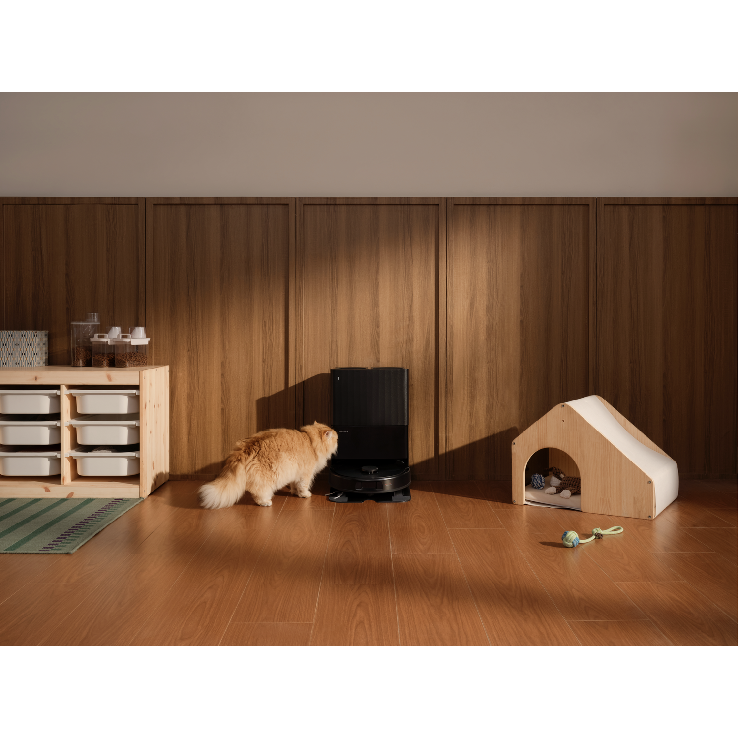 Un chat orange regarde un aspirateur robot noir dans une pièce avec des panneaux en bois.