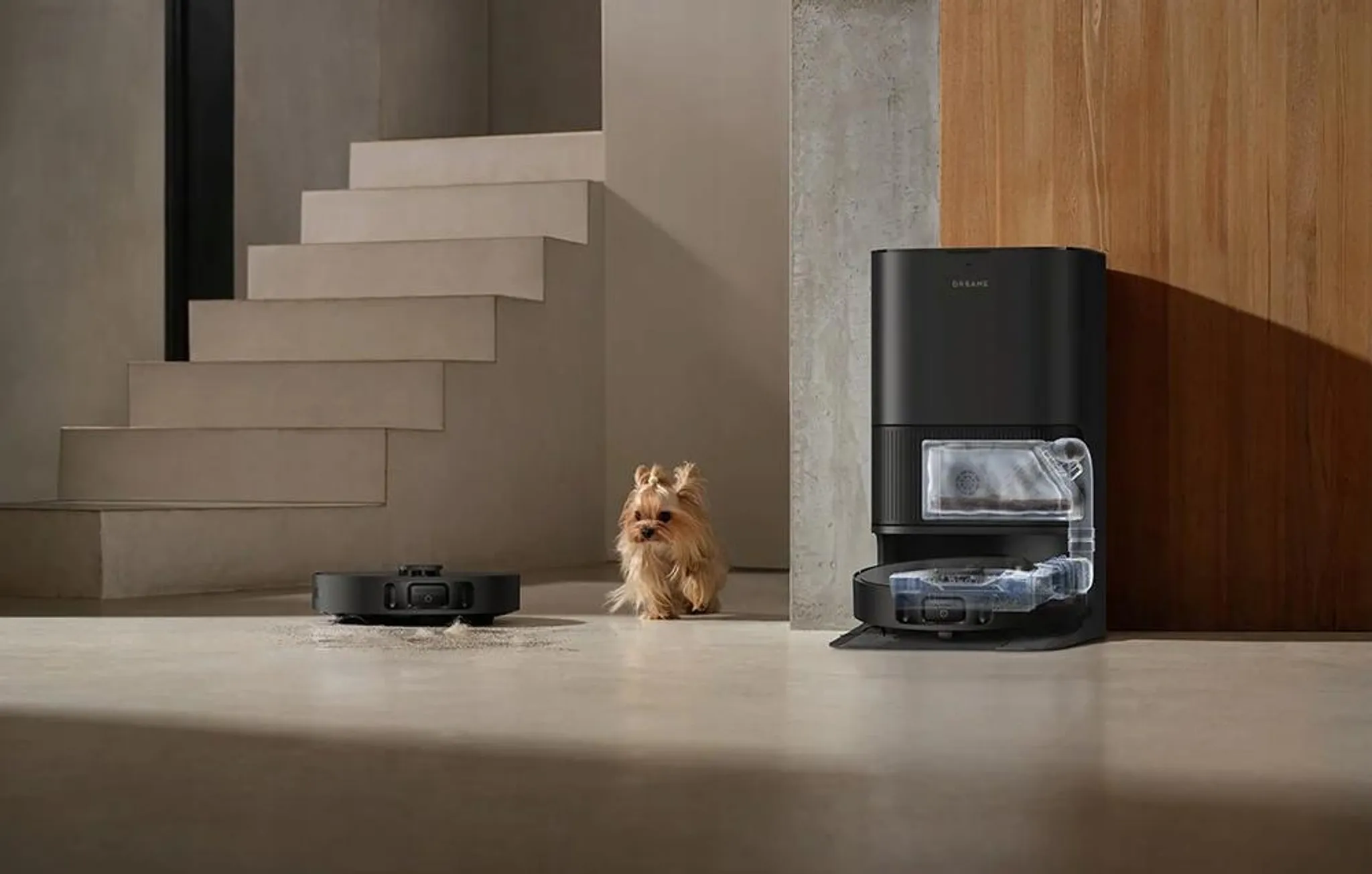 Egy kis Yorkshire terrier áll egy robotporszívó bázisállomása és a porszívó között a padlón.