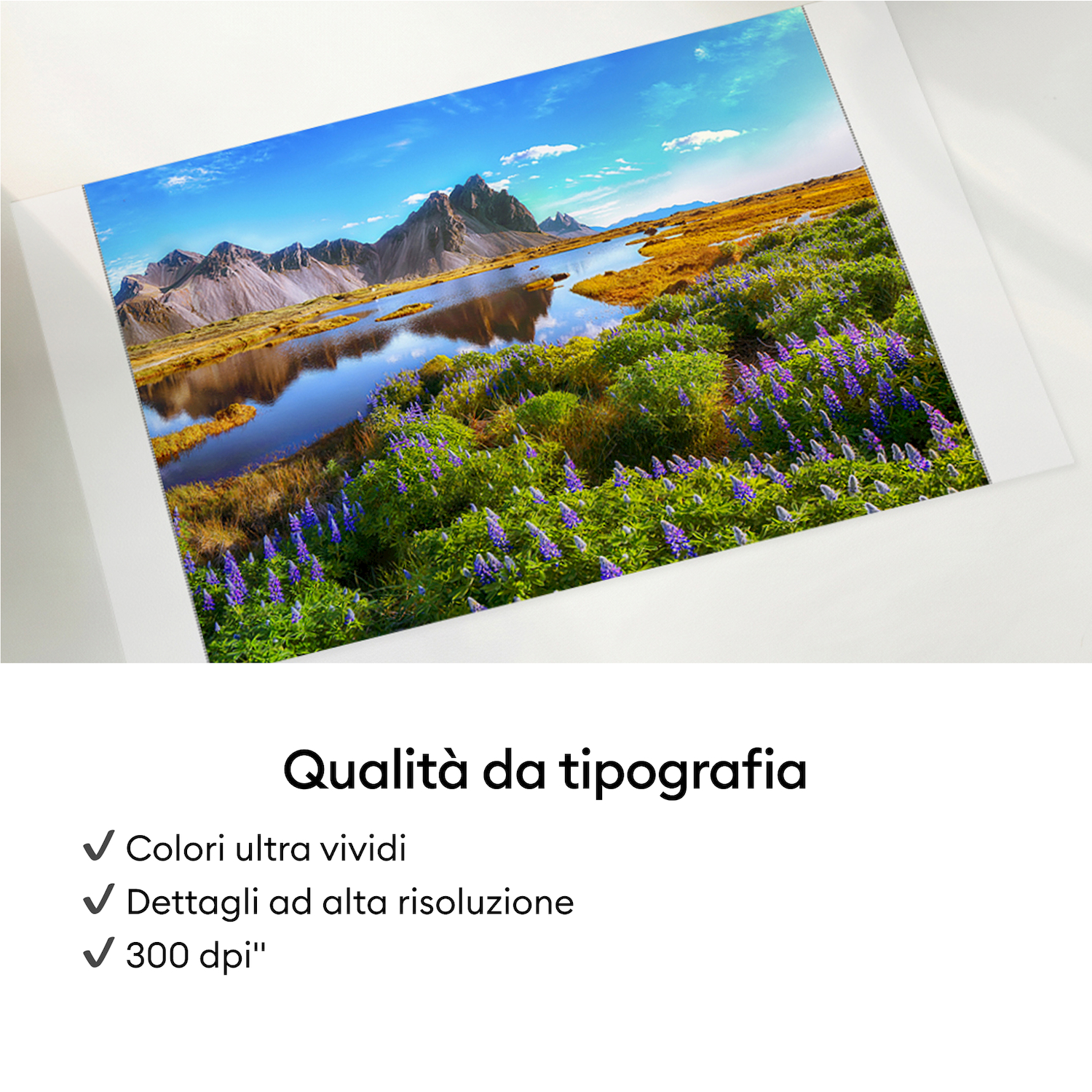 Una stampa mostra un paesaggio montano con fiume e lupini viola sotto un cielo azzurro, con testo sotto.