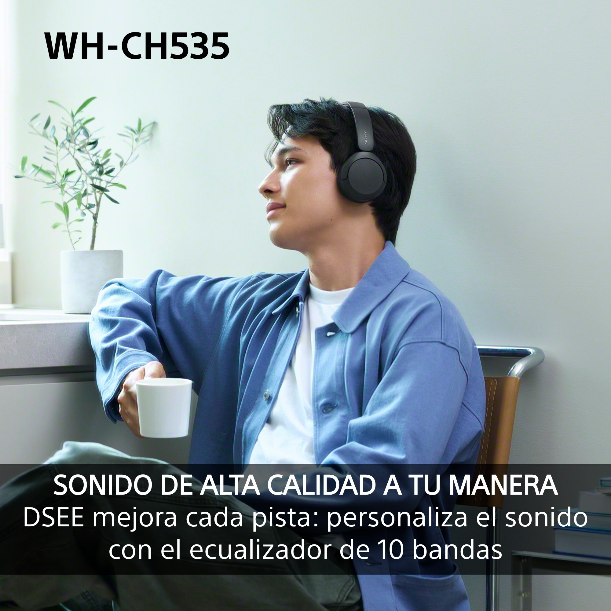 Sonido de alta calidad a tu manera. DSEE mejora cada pista: personaliza el sonido con el ecualizador de 10 bandas.