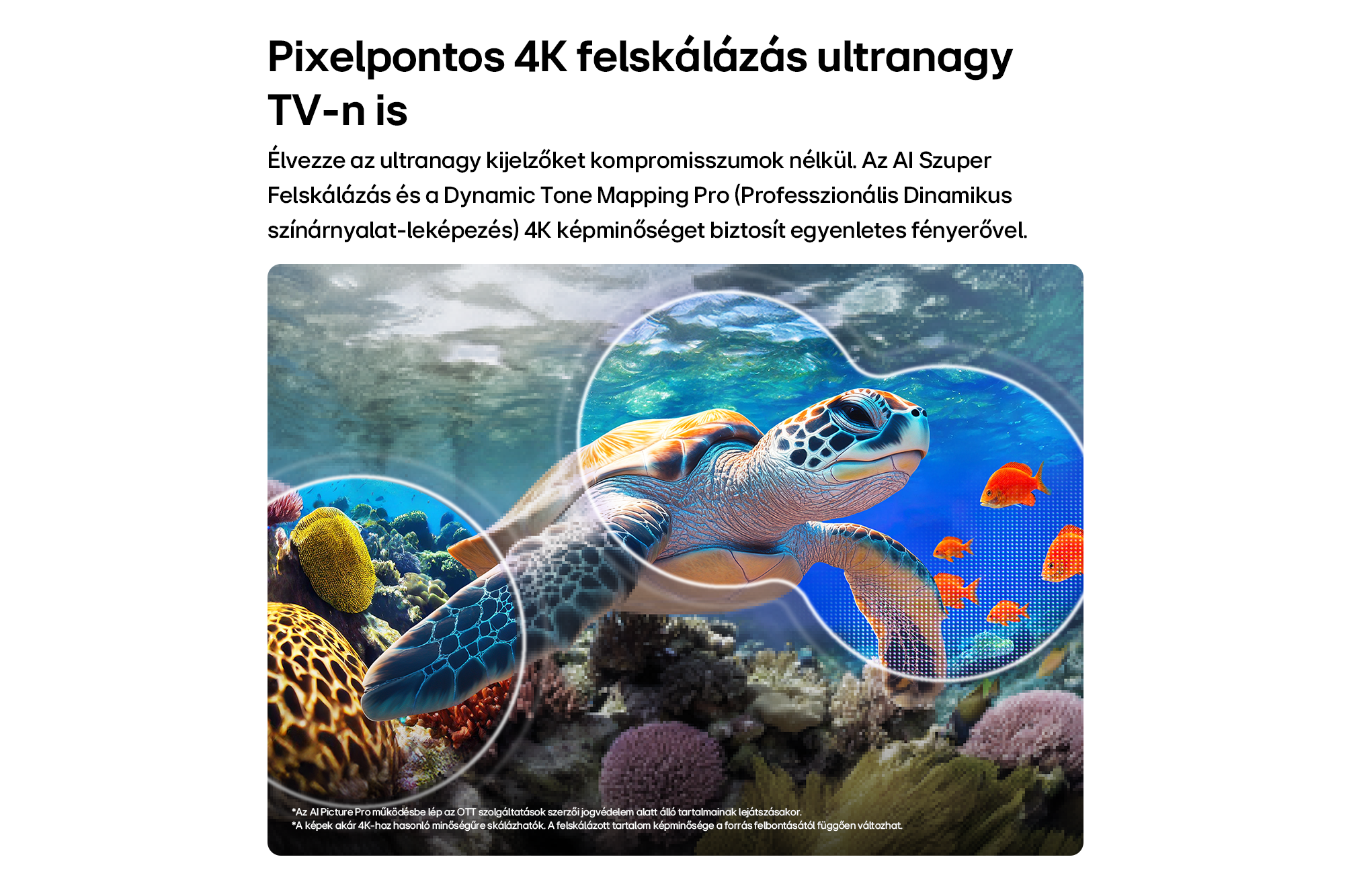 Teknős és halak víz alatt, egy nagyítóval, amely a pixeleket mutatja.