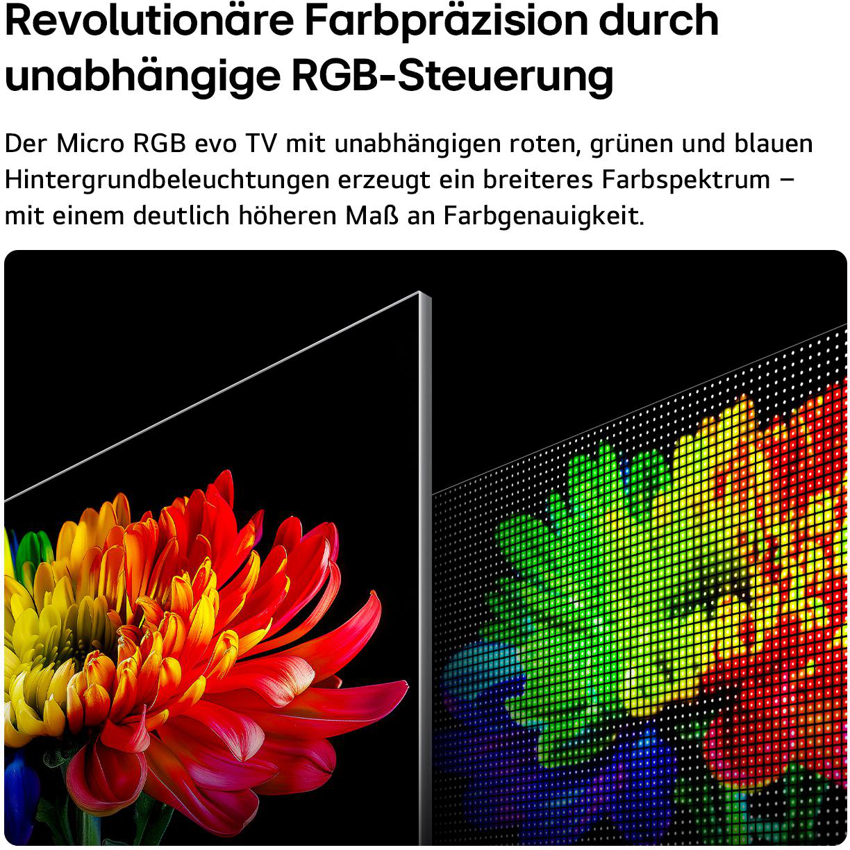 Text über RGB-Steuerung und ein Bild einer bunten Blume mit LED-Matrix-Hintergrund.
