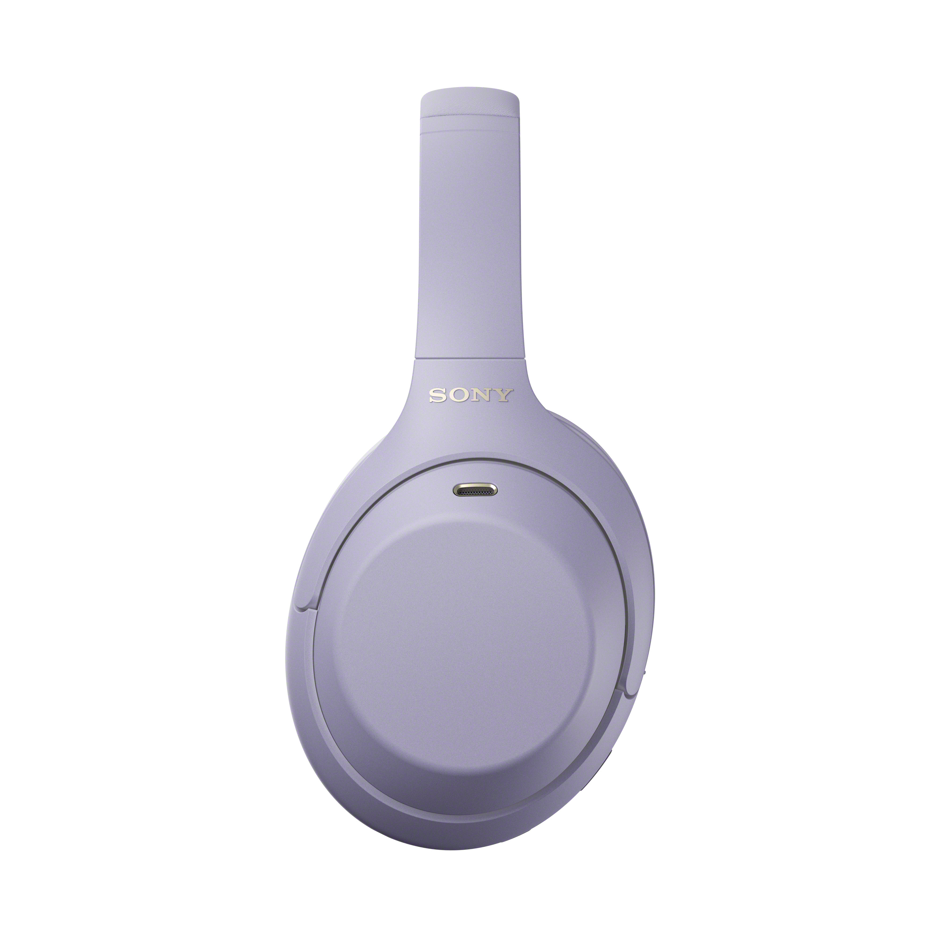 Lila Sony Over-Ear-Kopfhörer mit goldenem Logo vor weißem Hintergrund.