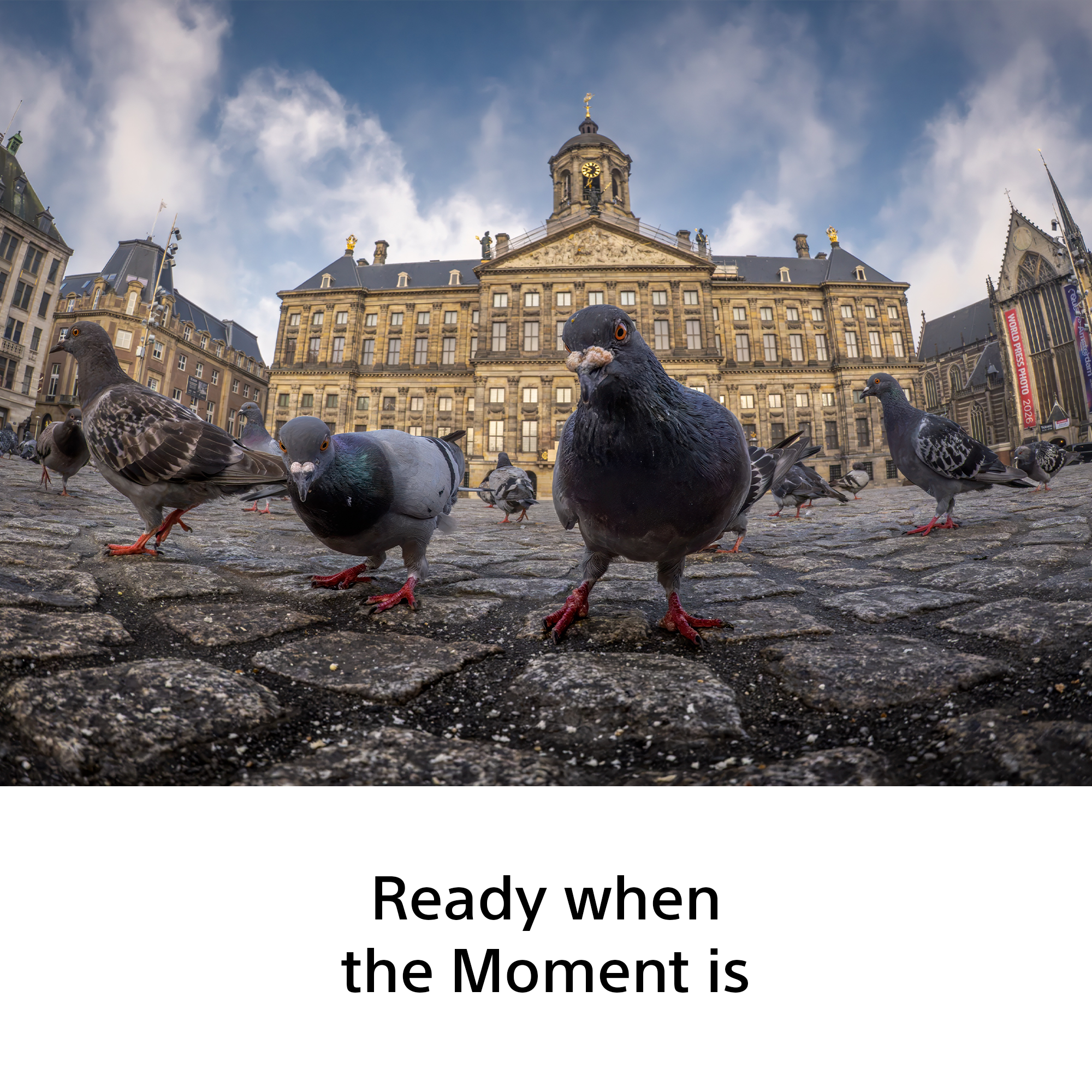 Pigeons sur une place pavée devant le Palais royal d'Amsterdam sous un ciel nuageux.