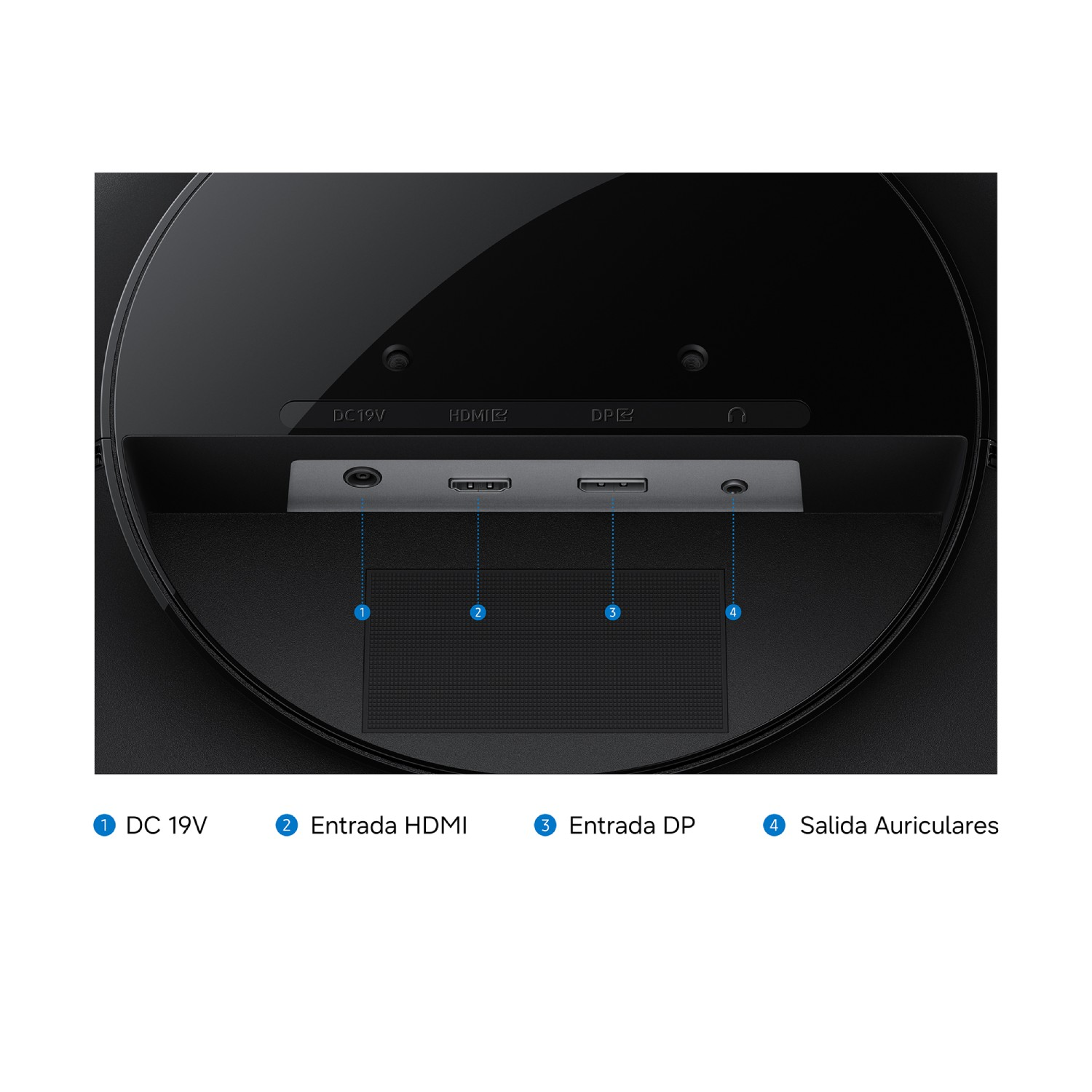Panel trasero de un monitor negro con puertos etiquetados: DC 19V, HDMI, DP y salida de auriculares.