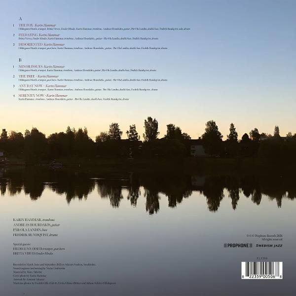 Rückseite eines Albumcovers mit Tracklist, Baum- und Wasserschatten bei Sonnenuntergang.