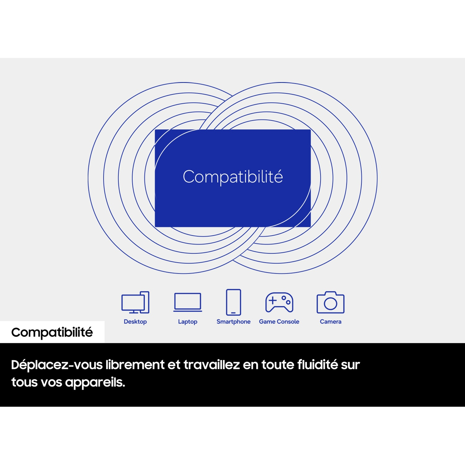 Graphique de compatibilité avec ordinateur, ordinateur portable, smartphone, console et caméra.