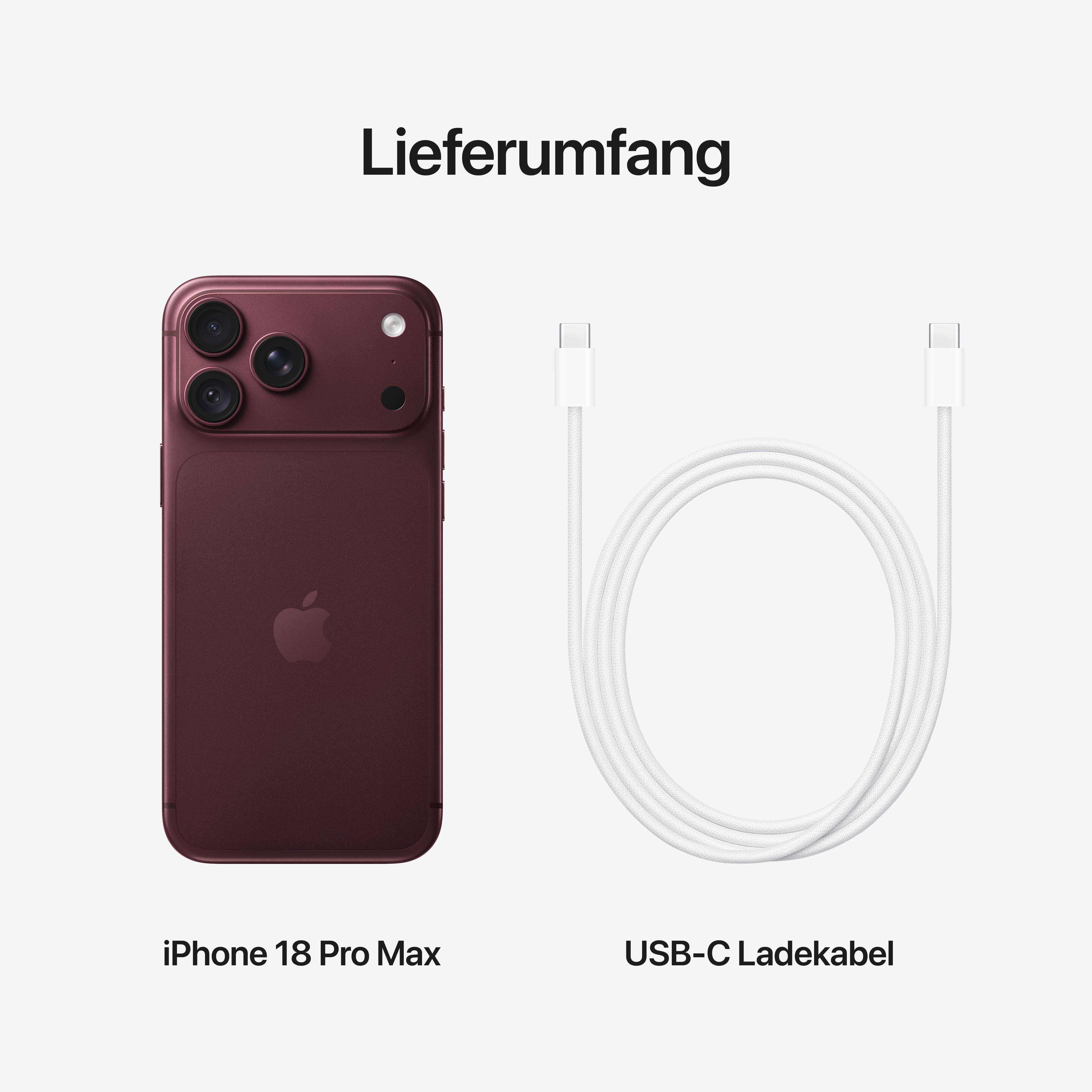 Lieferumfang: Ein weinrotes Smartphone und ein weißes USB-C Ladekabel auf hellem Hintergrund.