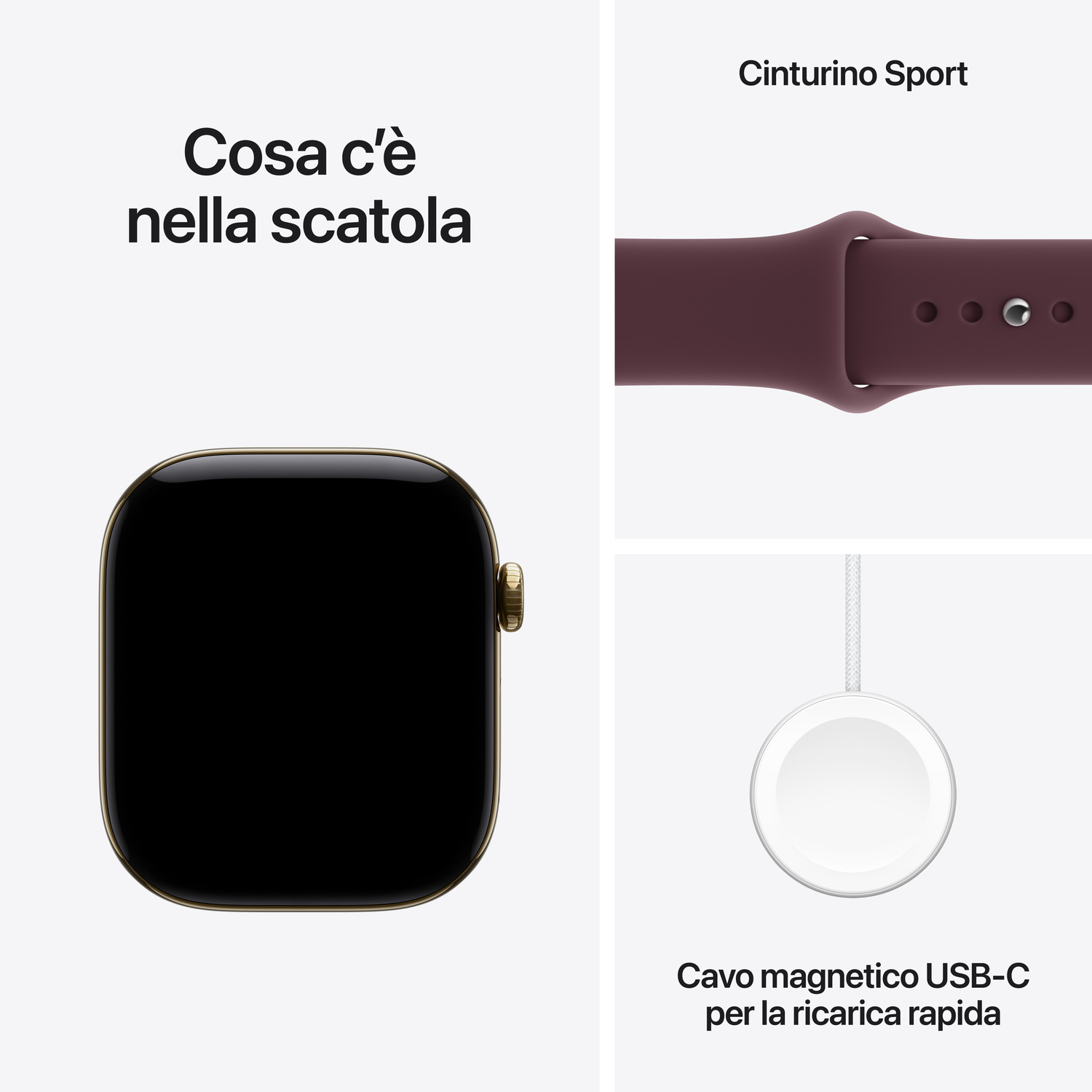 Cassa Apple Watch, cinturino sport e cavo di ricarica rapida magnetica USB-C su sfondo bianco.