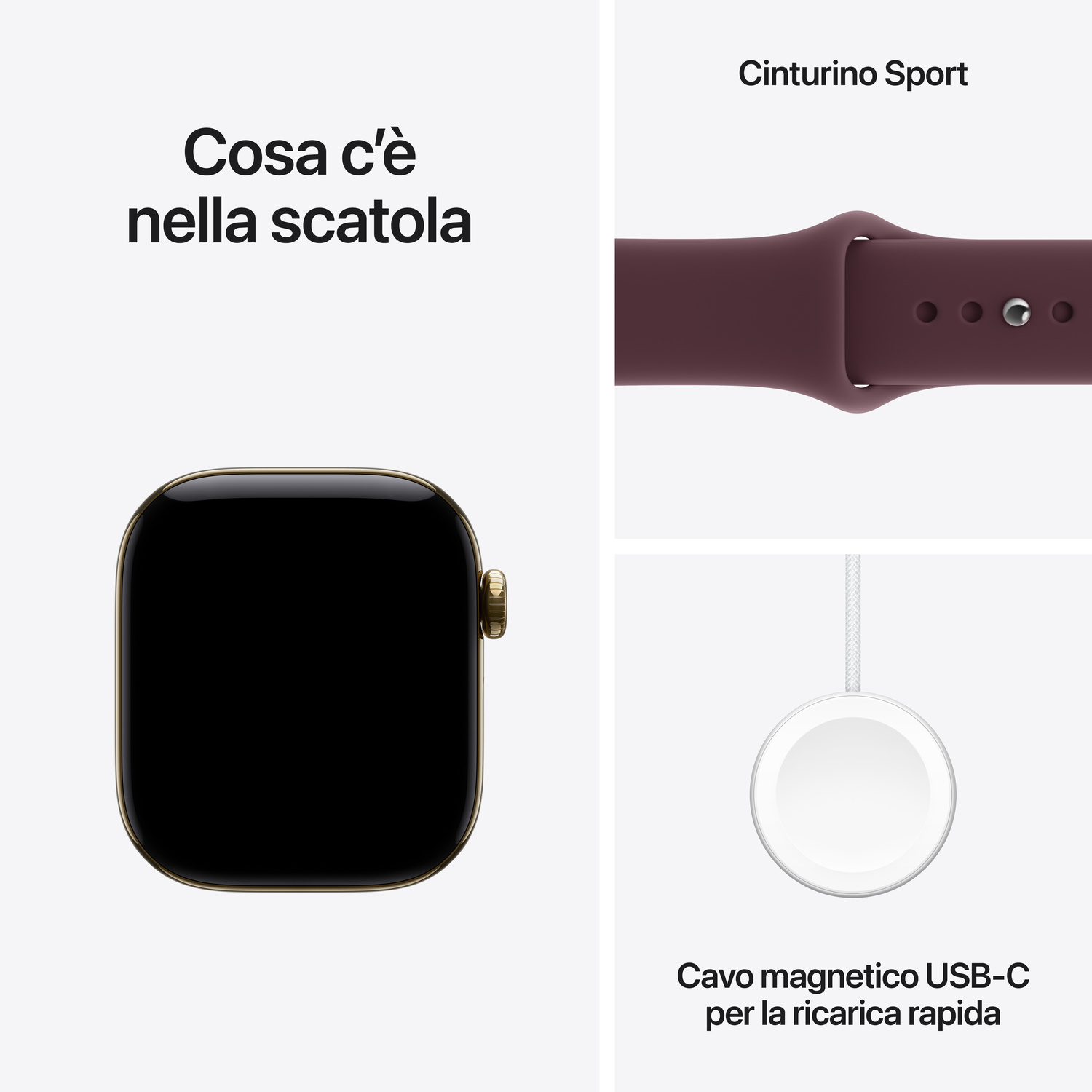 Contenuto della confezione: cassa Apple Watch, cinturino Sport e cavo di ricarica magnetica USB-C.
