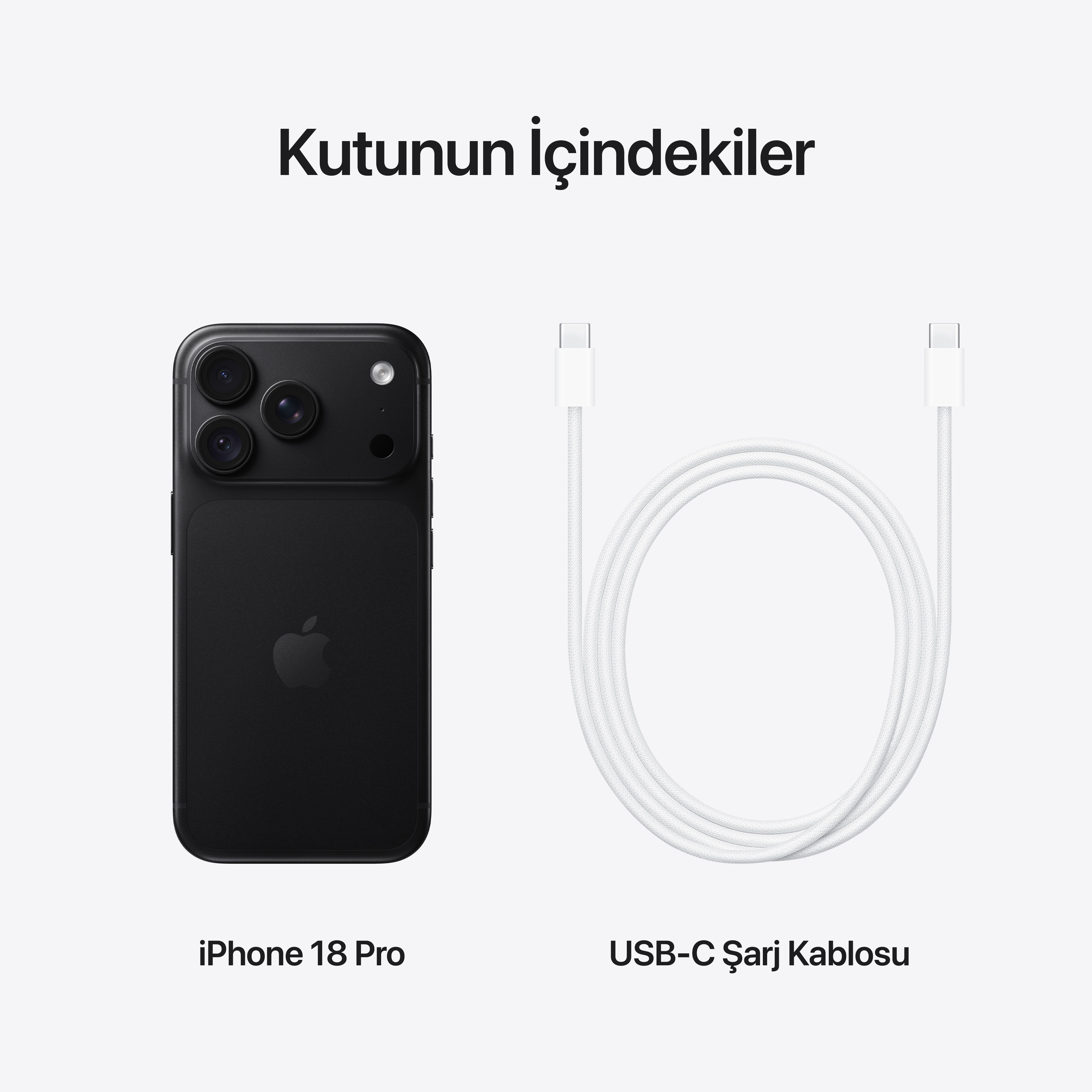 Gri arka planda kameralı siyah bir akıllı telefon ve beyaz bir USB-C şarj kablosu.