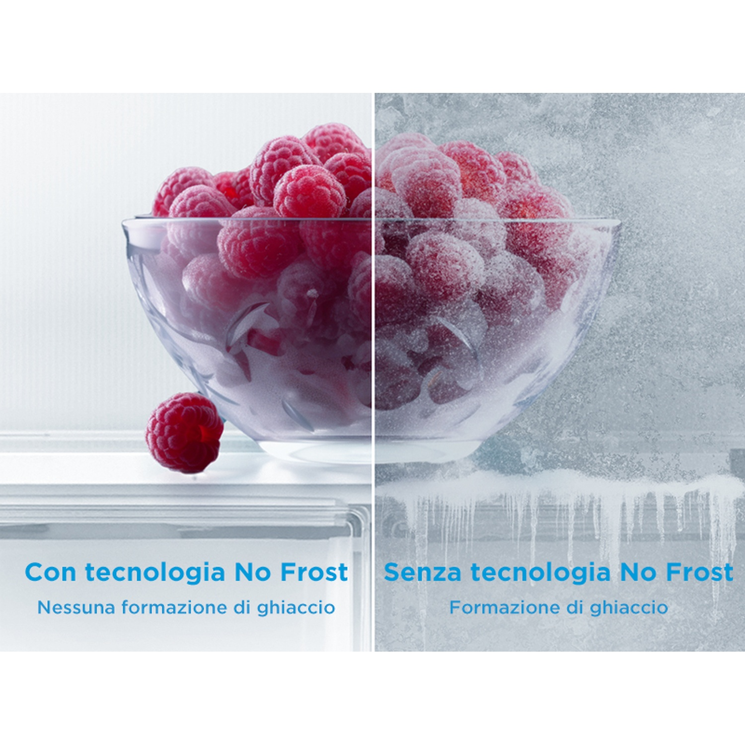 Confronto tra lamponi con tecnologia No Frost (senza ghiaccio) e senza (accumulo di ghiaccio).