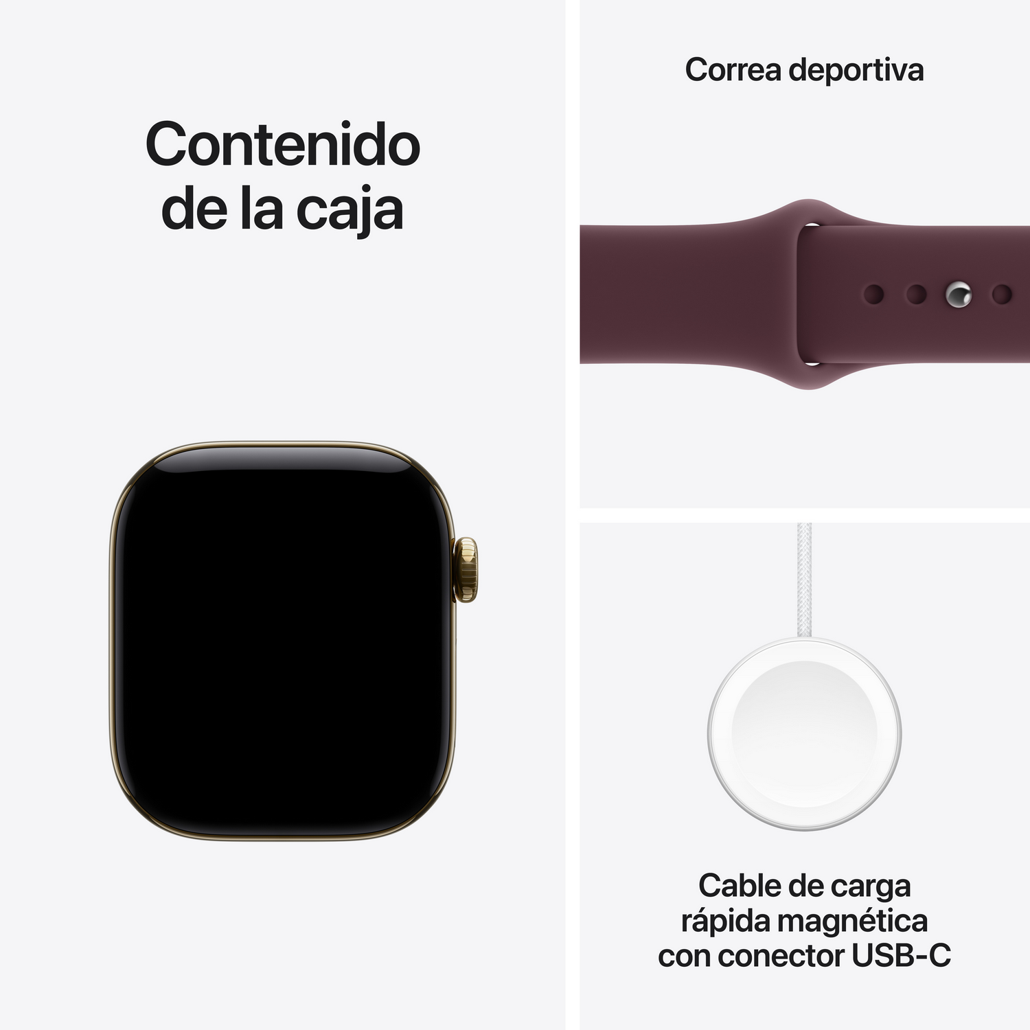 Contenido de la caja: Apple Watch, correa deportiva y cable de carga magnética rápida USB-C sobre fondo blanco.