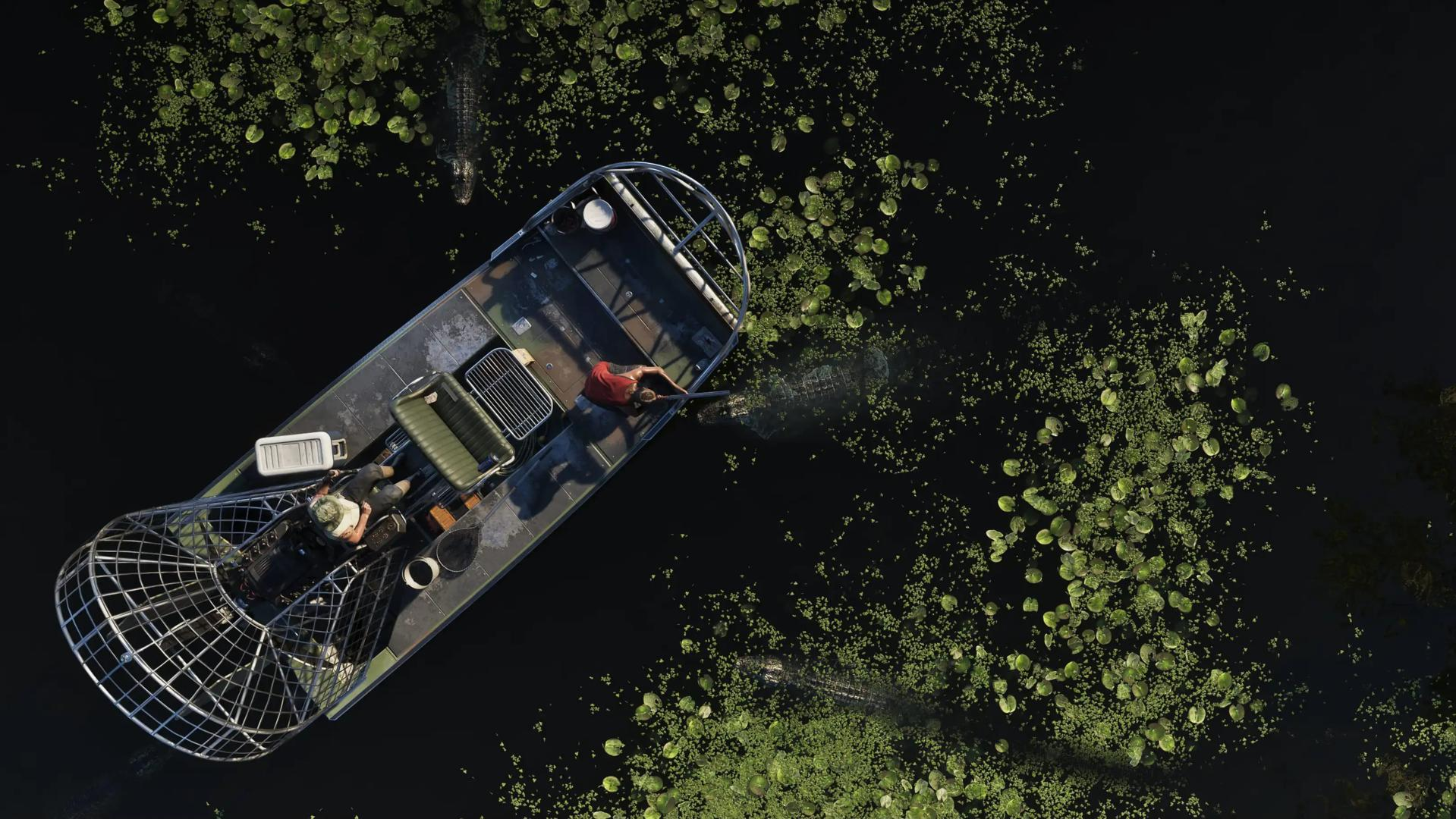 Luftbild eines Airboats in einem Sumpf, umgeben von Seerosen, mit Alligatoren im Wasser.