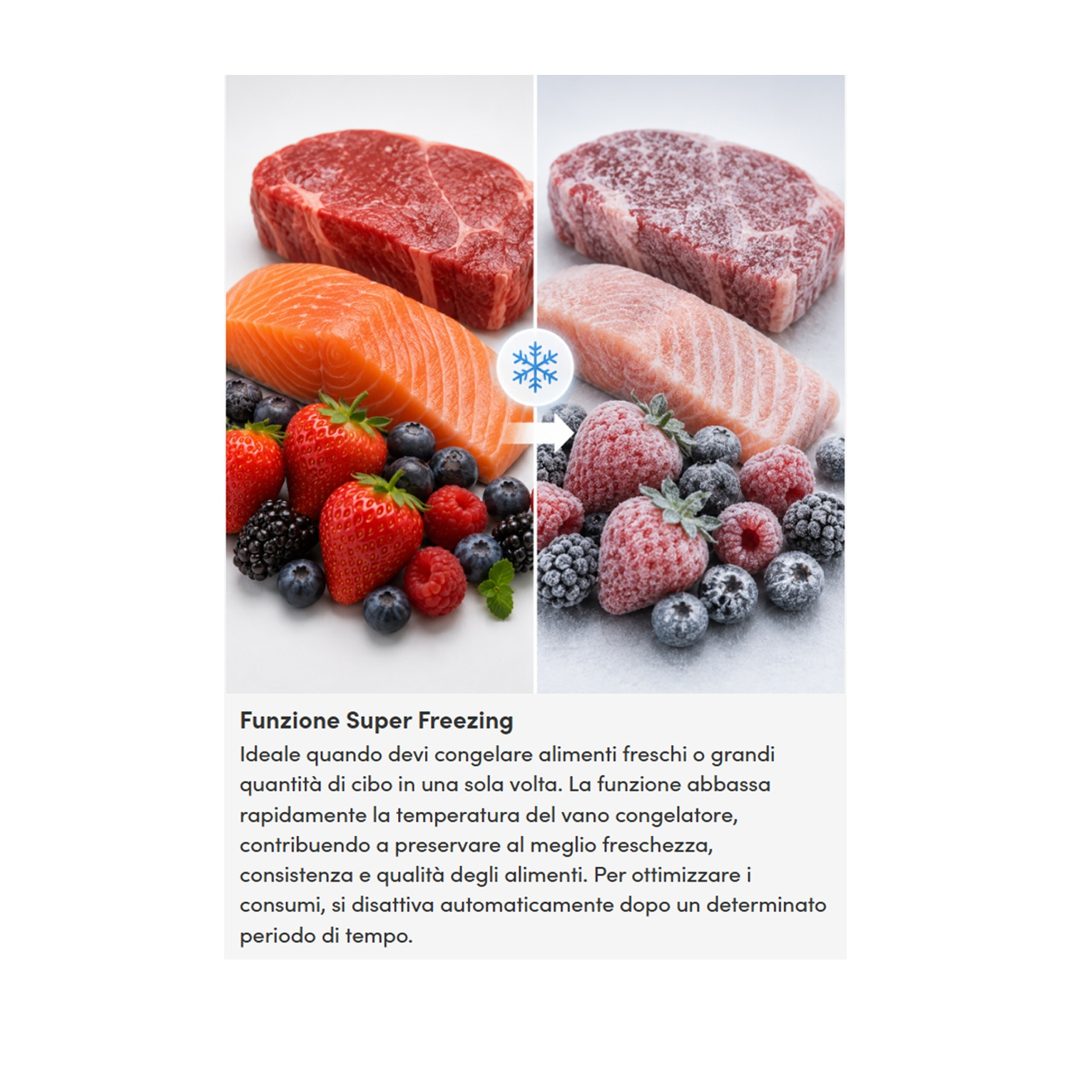 Confronto tra cibi freschi e surgelati tra cui carne, pesce e frutti di bosco.