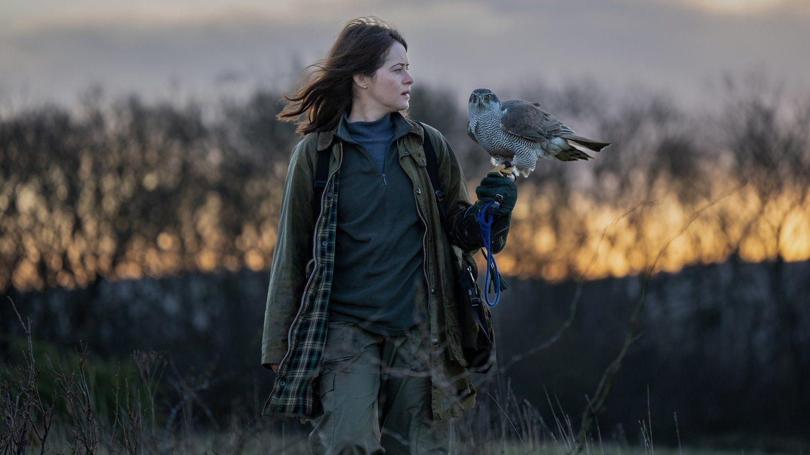 Eine Frau in einer grünen Jacke hält einen Greifvogel auf ihrem Arm in einer weiten Naturlandschaft bei Dämmerung.