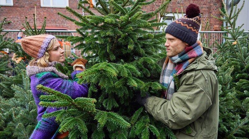 Ein Paar in Winterkleidung steht im Freien zwischen vielen grünen Tannenbäumen und wählt einen Weihnachtsbaum aus.