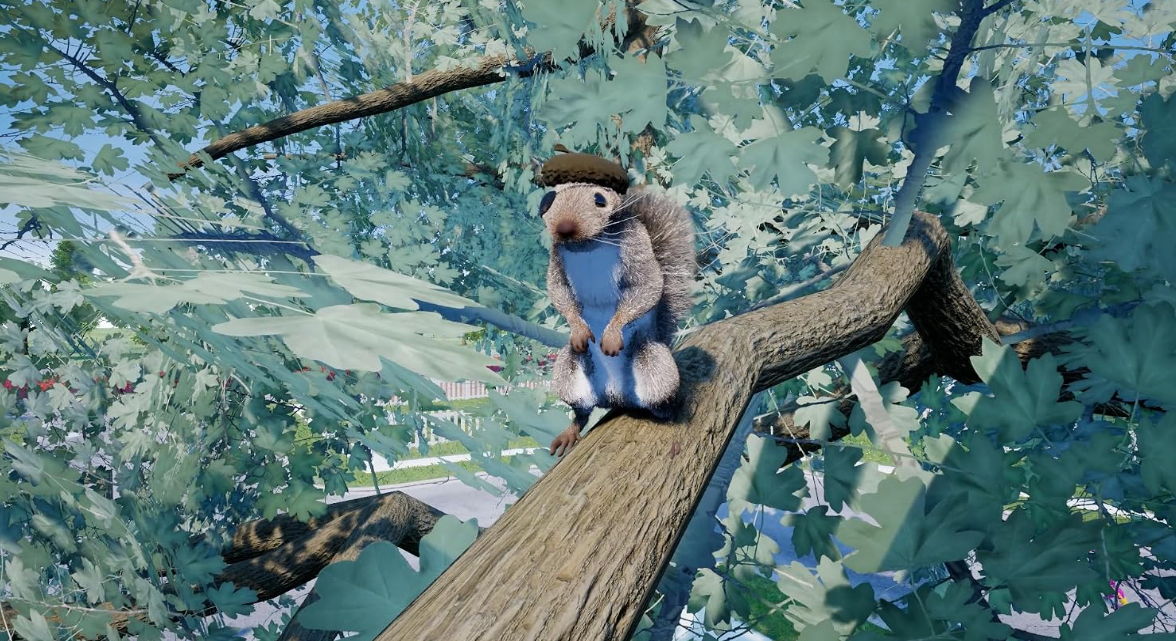 Ein kleines graues Eichhörnchen mit einer Eichel auf dem Kopf sitzt auf einem Ast im grünen Laub.