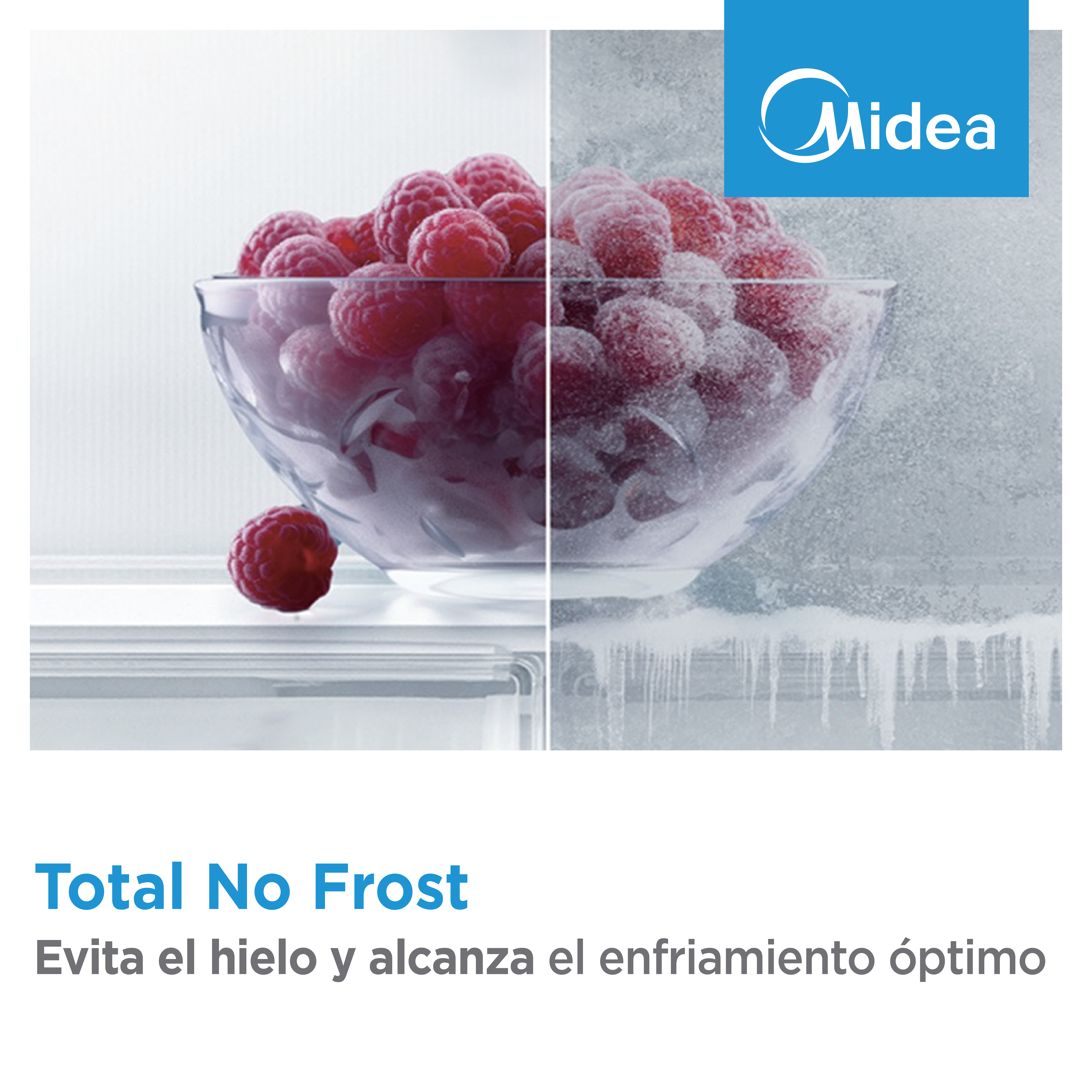 Comparación de dos boles de frambuesas: frescas a la izquierda, con hielo a la derecha, y logo de Midea.
