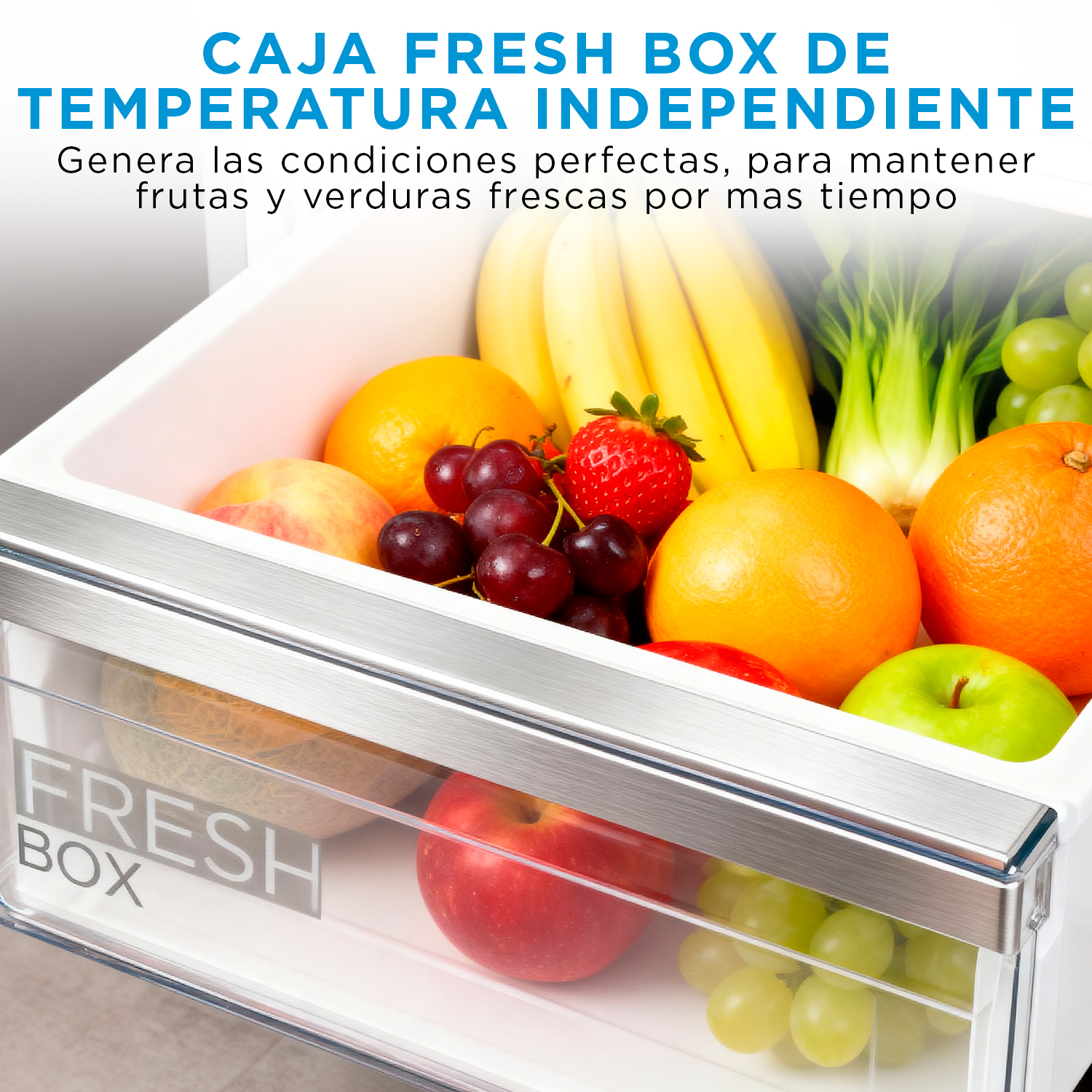 Un cajón de refrigerador abierto lleno de frutas y verduras frescas, incluyendo plátanos, naranjas y uvas.