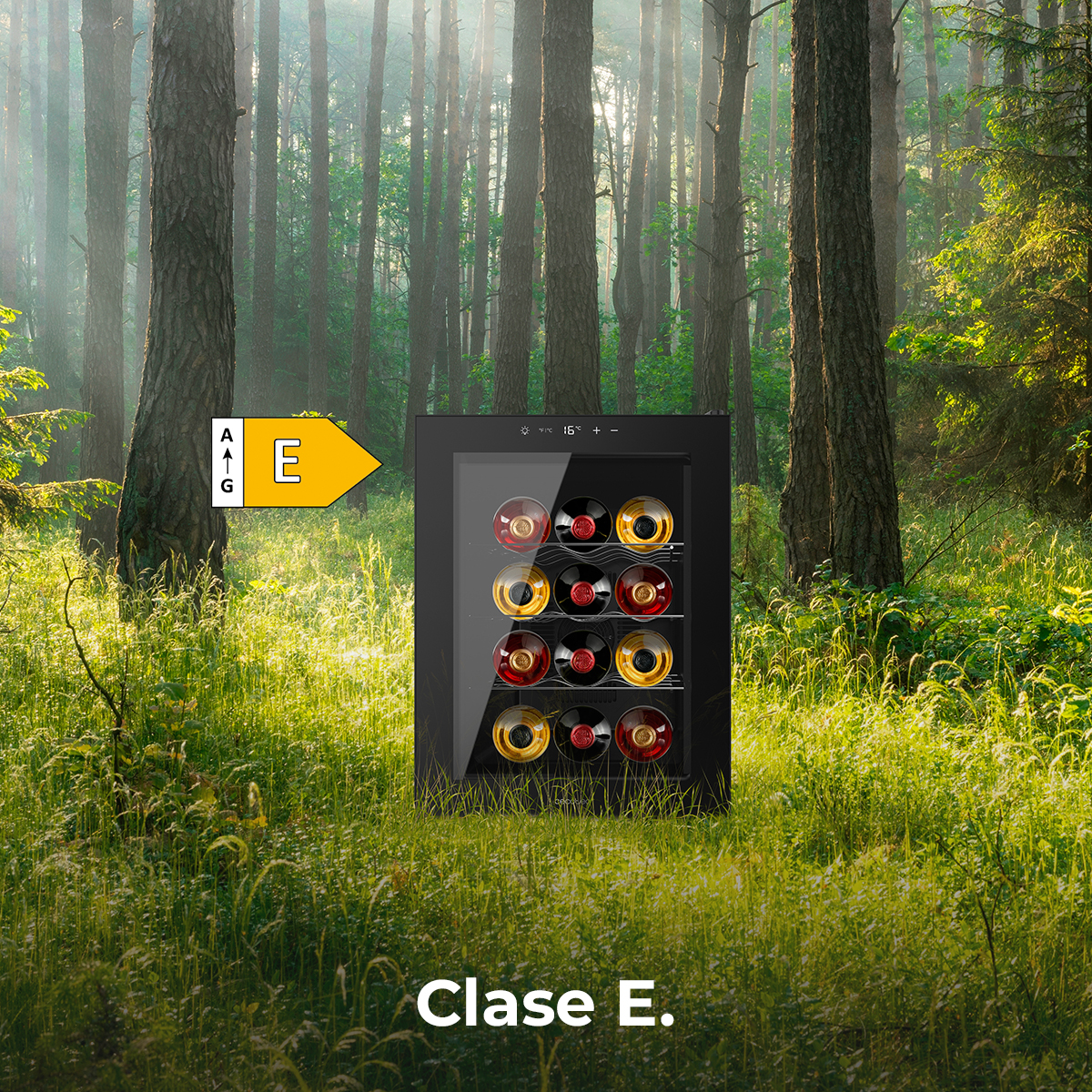 Una vinoteca con clase de eficiencia energética E se encuentra en medio de un bosque soleado sobre hierba verde.