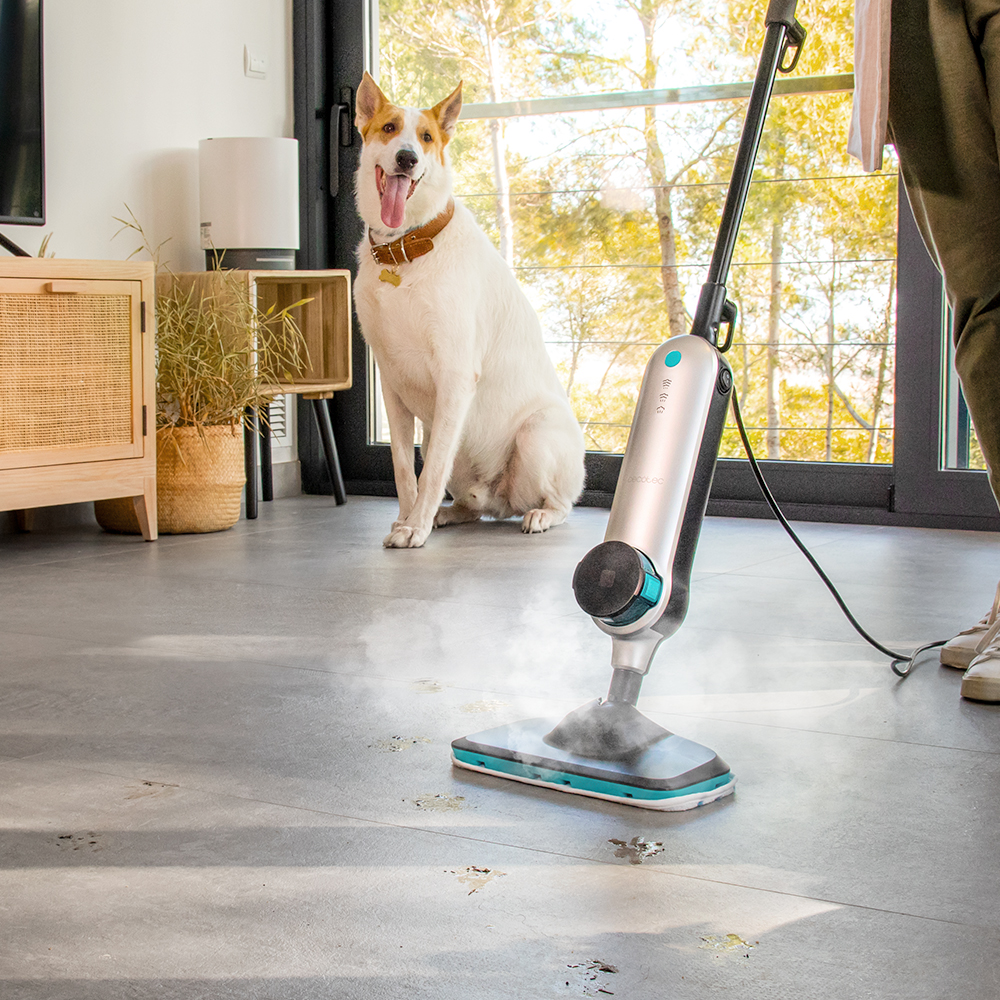 Una persona limpia el suelo con una mopa a vapor mientras un perro blanco y marrón espera al fondo.