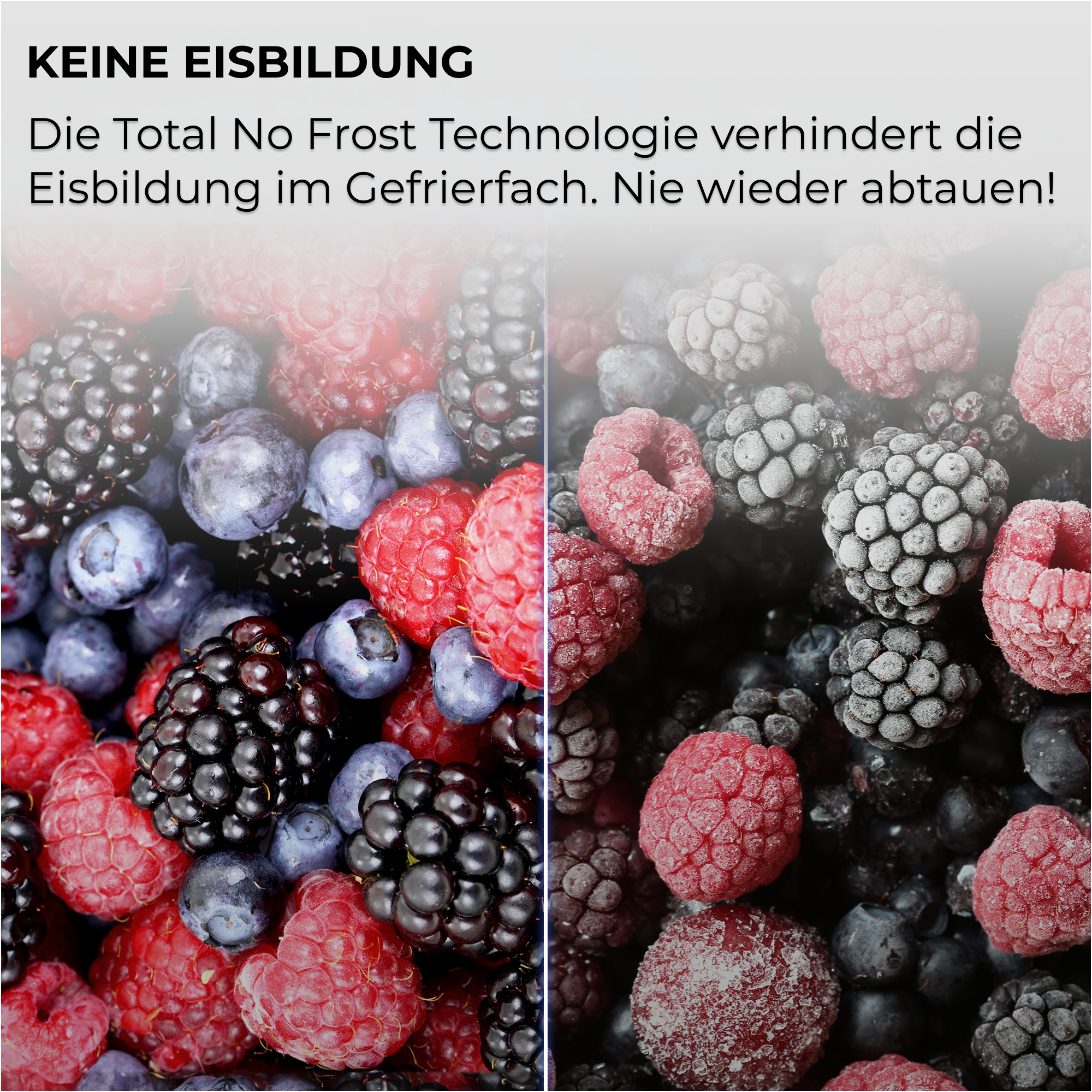 Vergleich von frischen (links) und gefrorenen (rechts) Beeren mit Text über No-Frost-Technologie.
