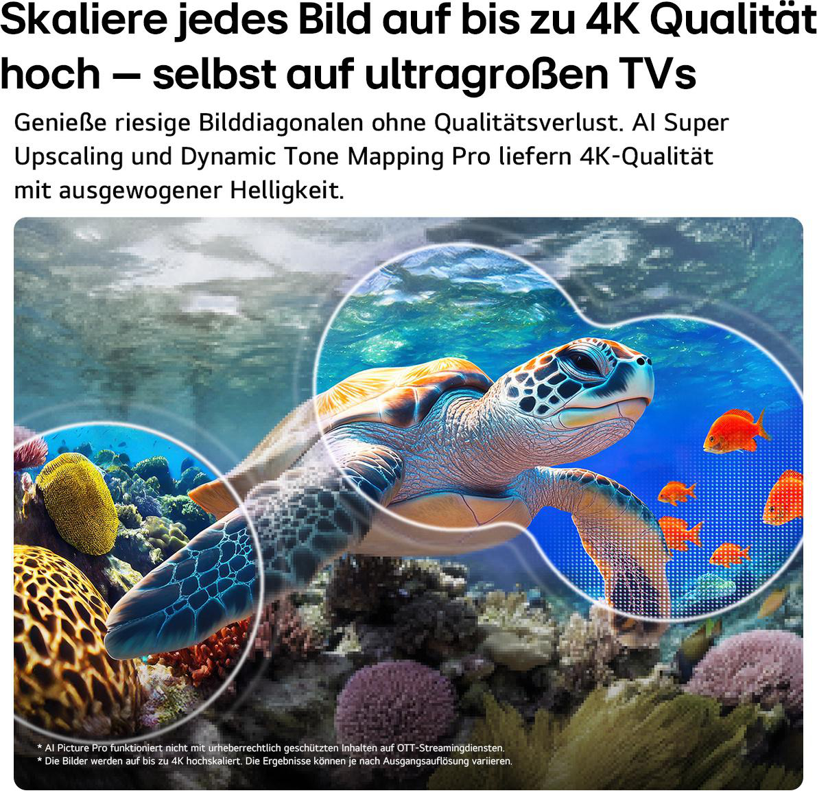 Eine Meeresschildkröte schwimmt im klaren blauen Wasser mit Korallen und kleinen Fischen.