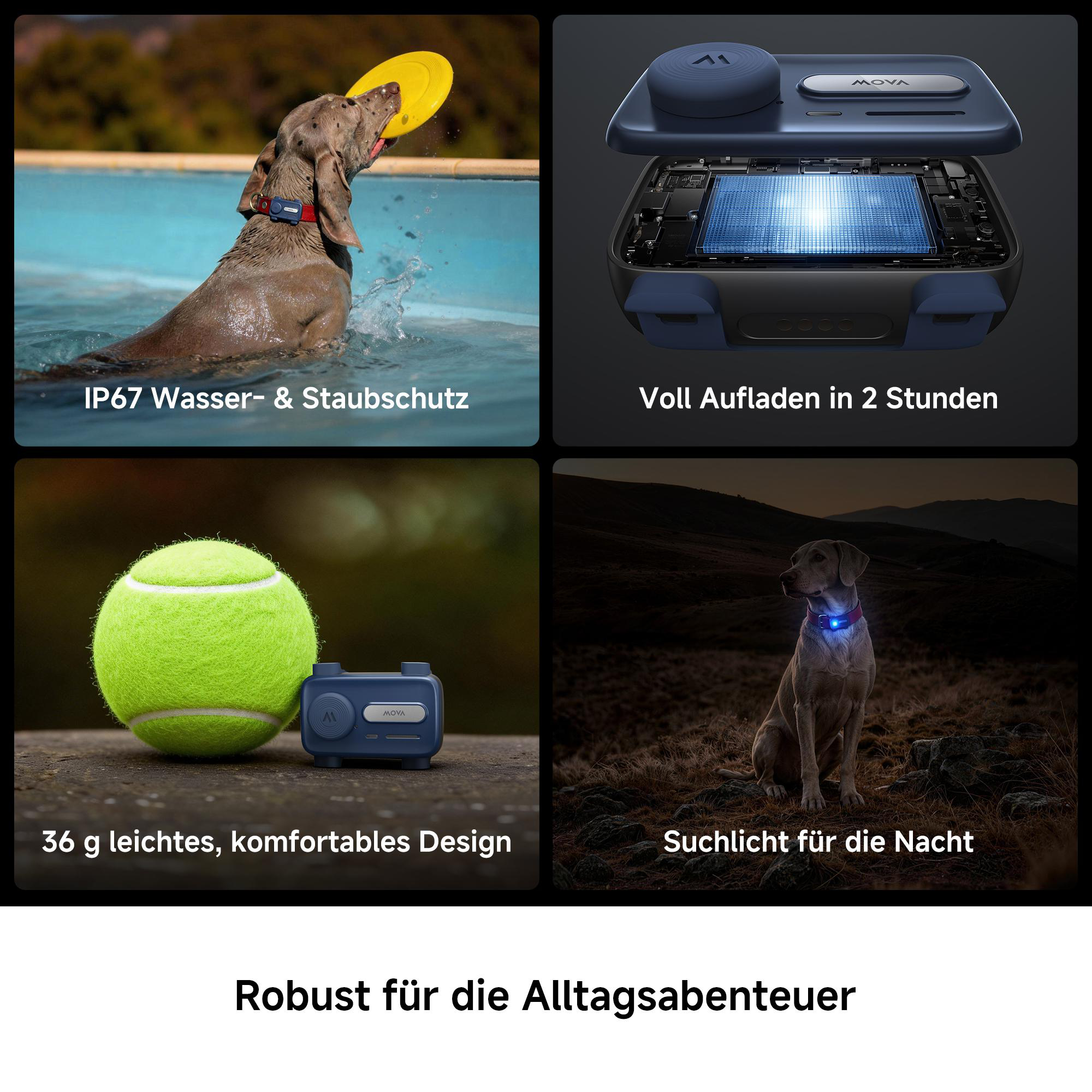 Vier Bilder: Hund im Wasser, Ladehardware, kleines Gerät mit Tennisball, Hund bei Nacht.