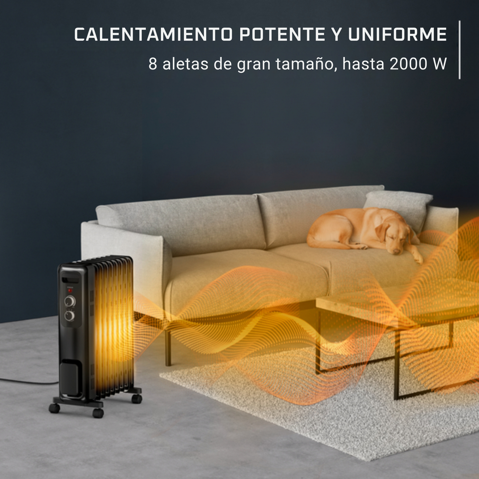 Un radiador de aceite negro calienta una sala de estar con un sofá mientras un perro duerme.