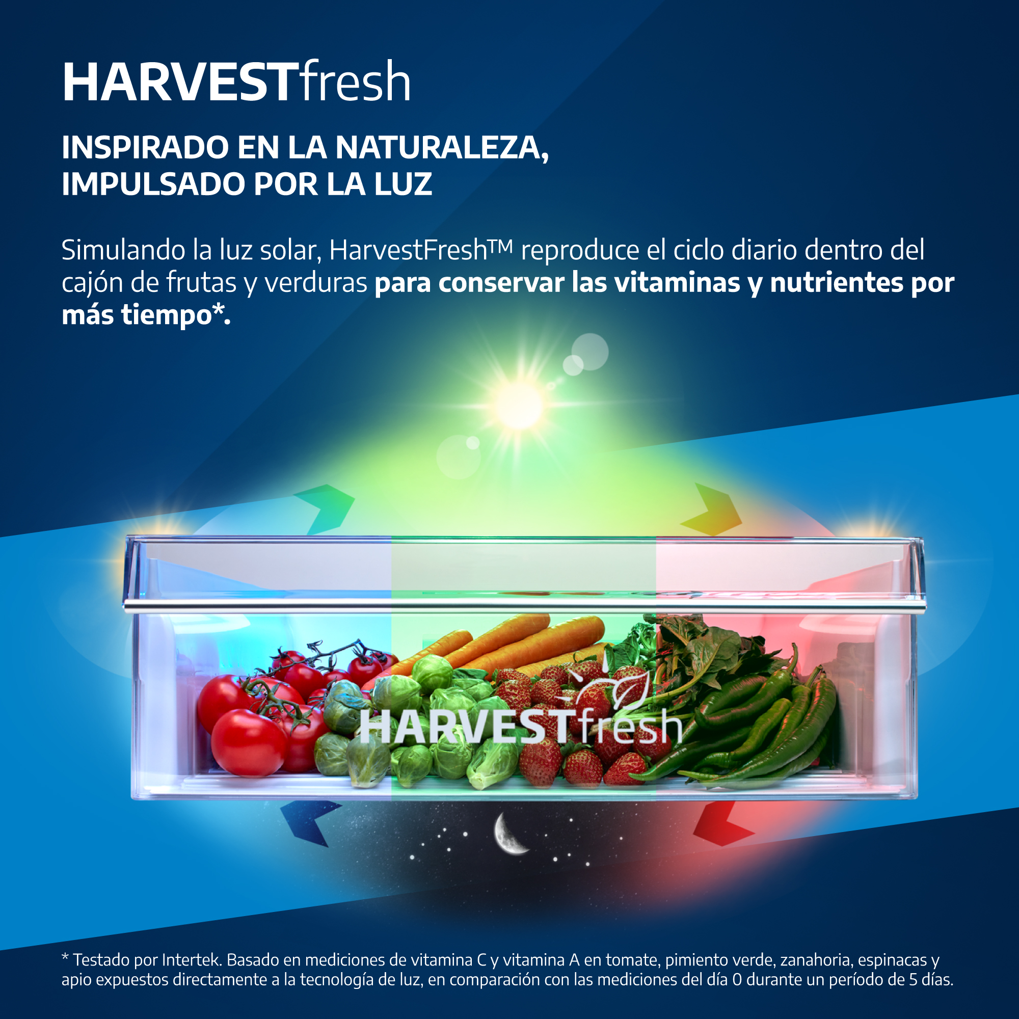 Un cajón para verduras muestra frutas y hortalizas frescas bajo luces de colores que imitan el ciclo diario.