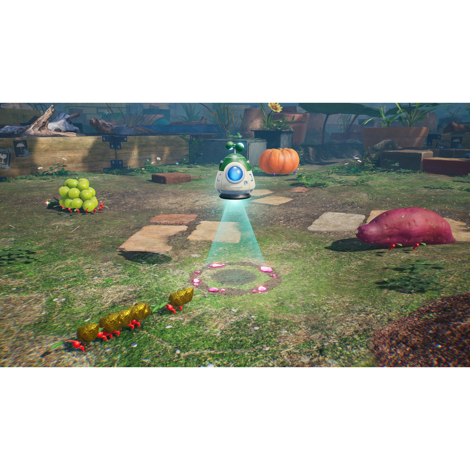 Pikmin 4 - Nintendo Switch 2 Edition (NL) - Switch 2