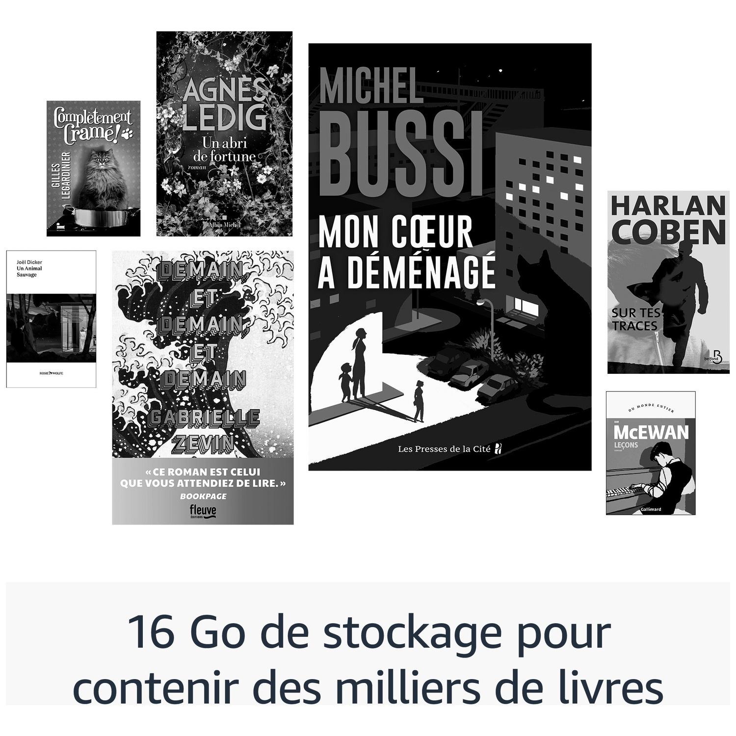 Une collection de couvertures de livres avec du texte français indiquant que 16 Go contiennent des milliers de livres.