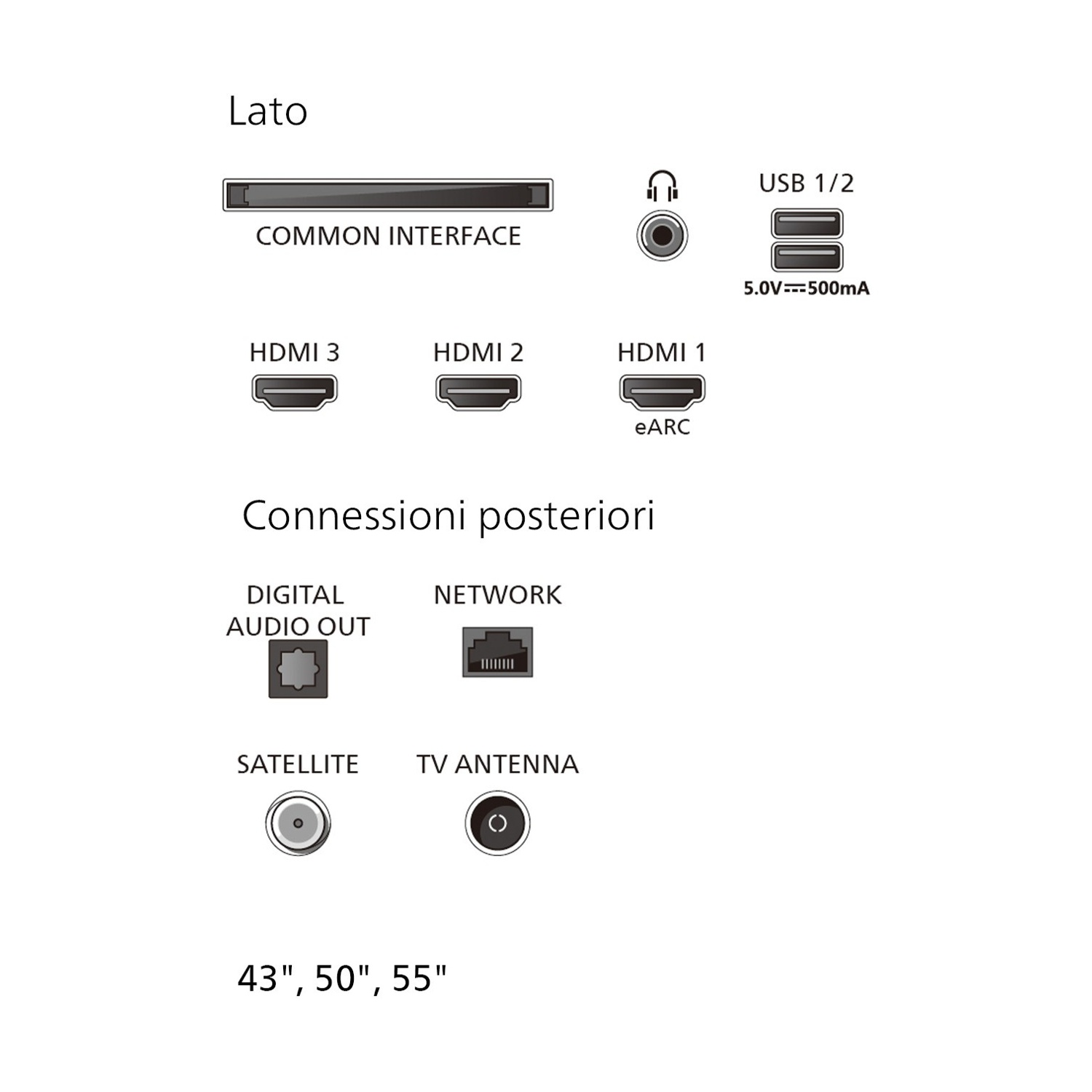 Schema delle porte TV tra cui HDMI, USB, audio, antenna e rete per i modelli da 43, 50 e 55 pollici.