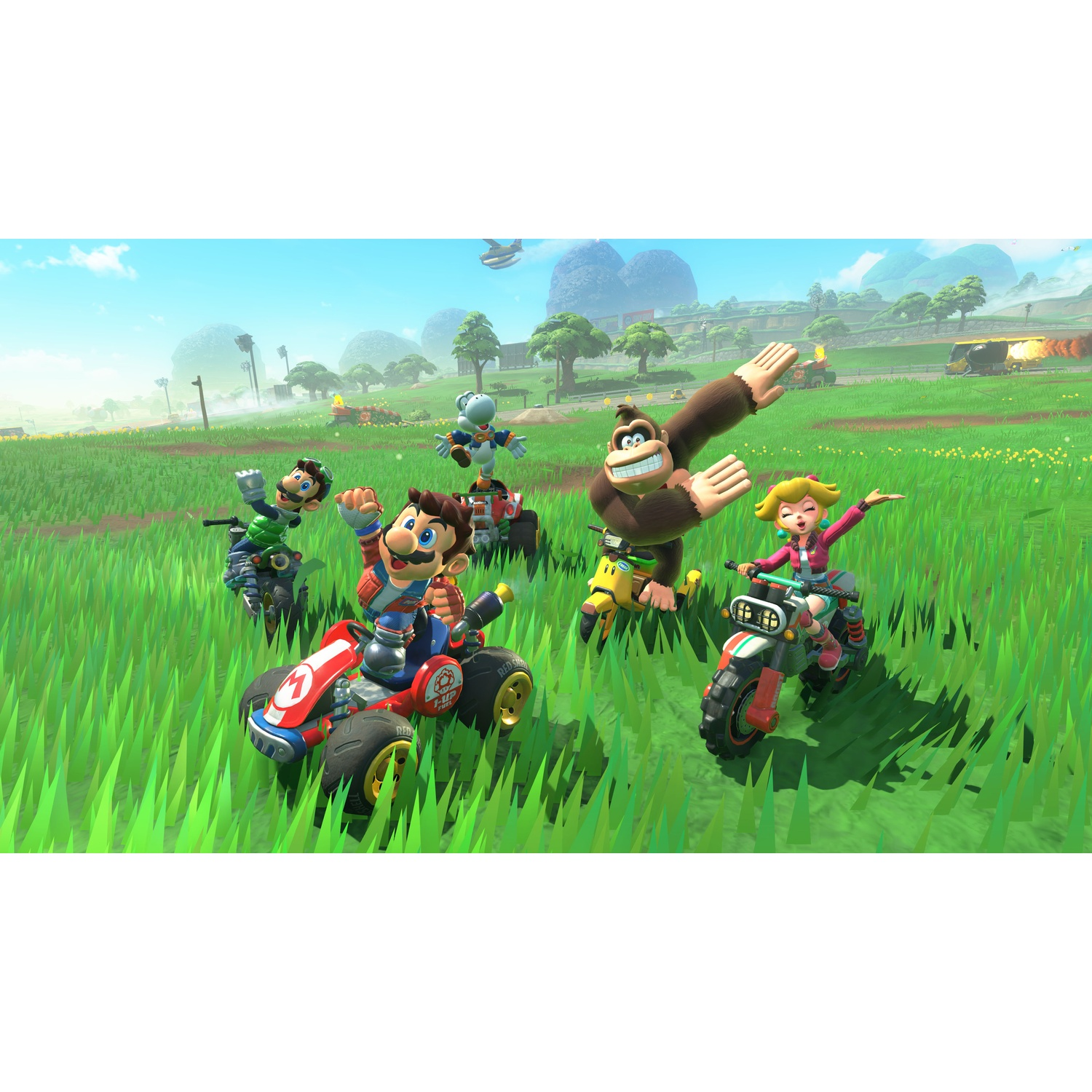 Mario-personages racen op karts en motoren door een grasveld onder een heldere, zonnige hemel.