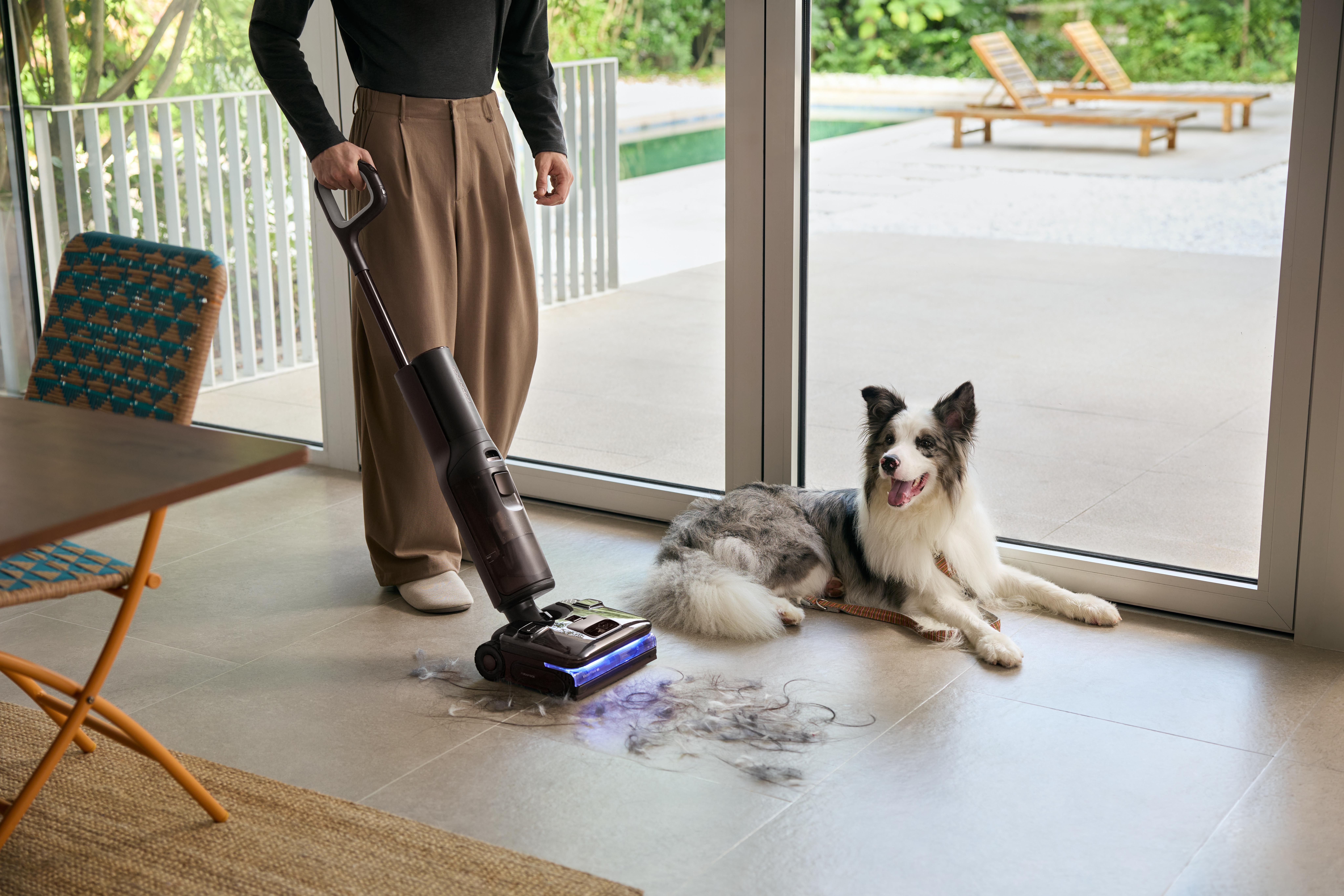 Eine Person nutzt einen Wischsauger vor einer Glasfront, während ein Border Collie entspannt auf dem Boden liegt.