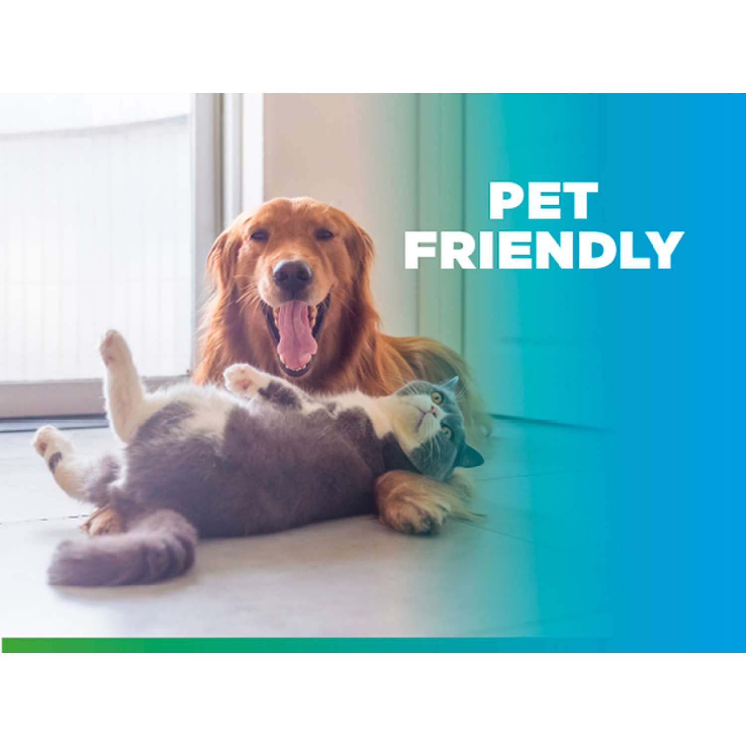 Un cane dorato felice e un gatto grigio giacciono sul pavimento davanti a uno sfondo blu con la scritta Pet Friendly.