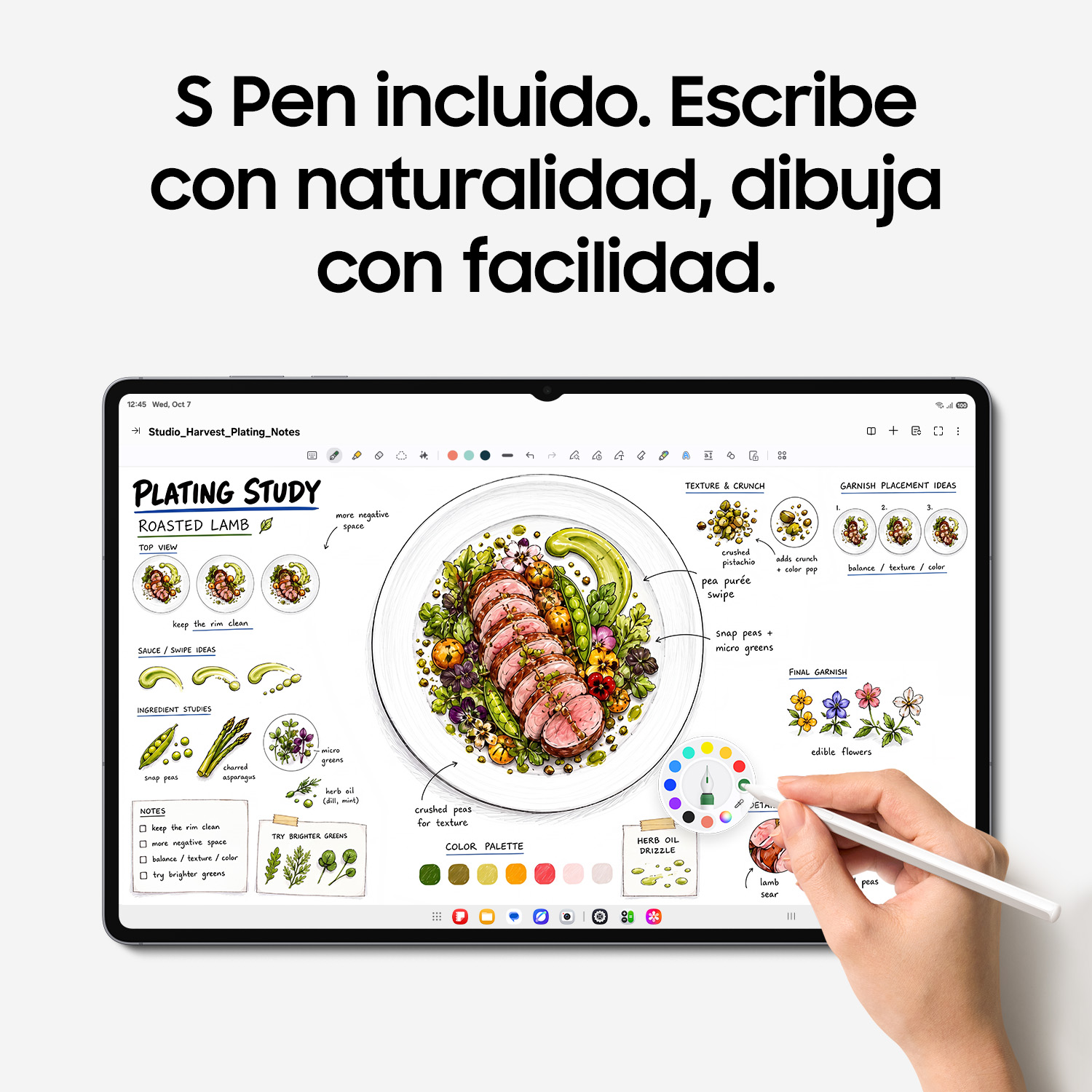 Una mano usa un lápiz óptico para dibujar un plato de cordero con notas en una tablet.