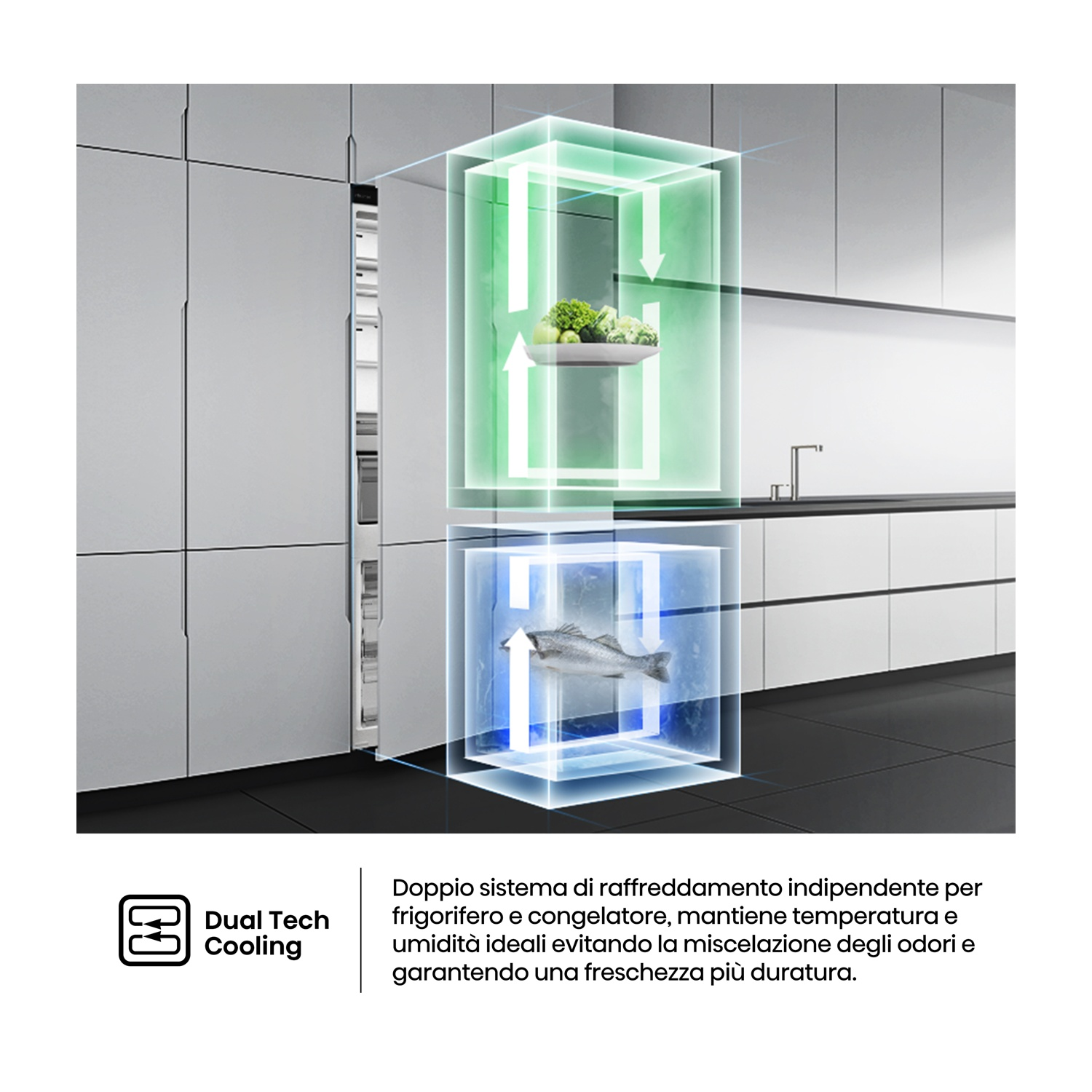 FRIGORIFERO DA INCASSO HISENSE RB3B250SEWE1, Capacità netta totale 252 l, Rumorosità: 35 dB(A), 2 ripiani, Dimensioni: L 54 cm A 177,2 cm P 54,5 cm, Bianco, Classe E
