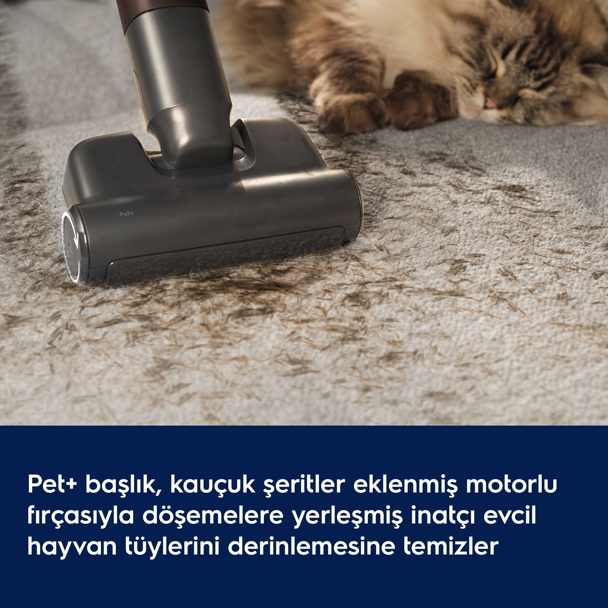 Arka planda uyuyan bir kediyken, bir elektrik süpürgesi başlığı gri halıdaki evcil hayvan tüylerini temizliyor.