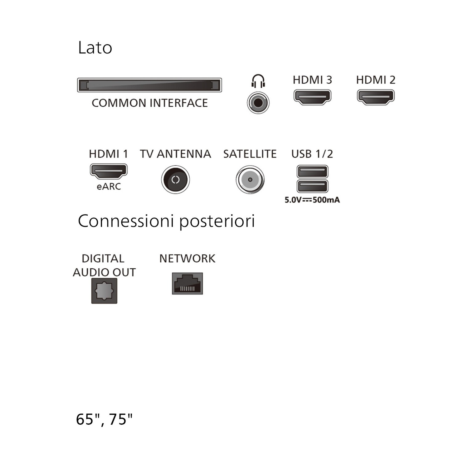 Schema delle porte TV tra cui HDMI, USB, audio e antenna per modelli da 65 e 75 pollici.